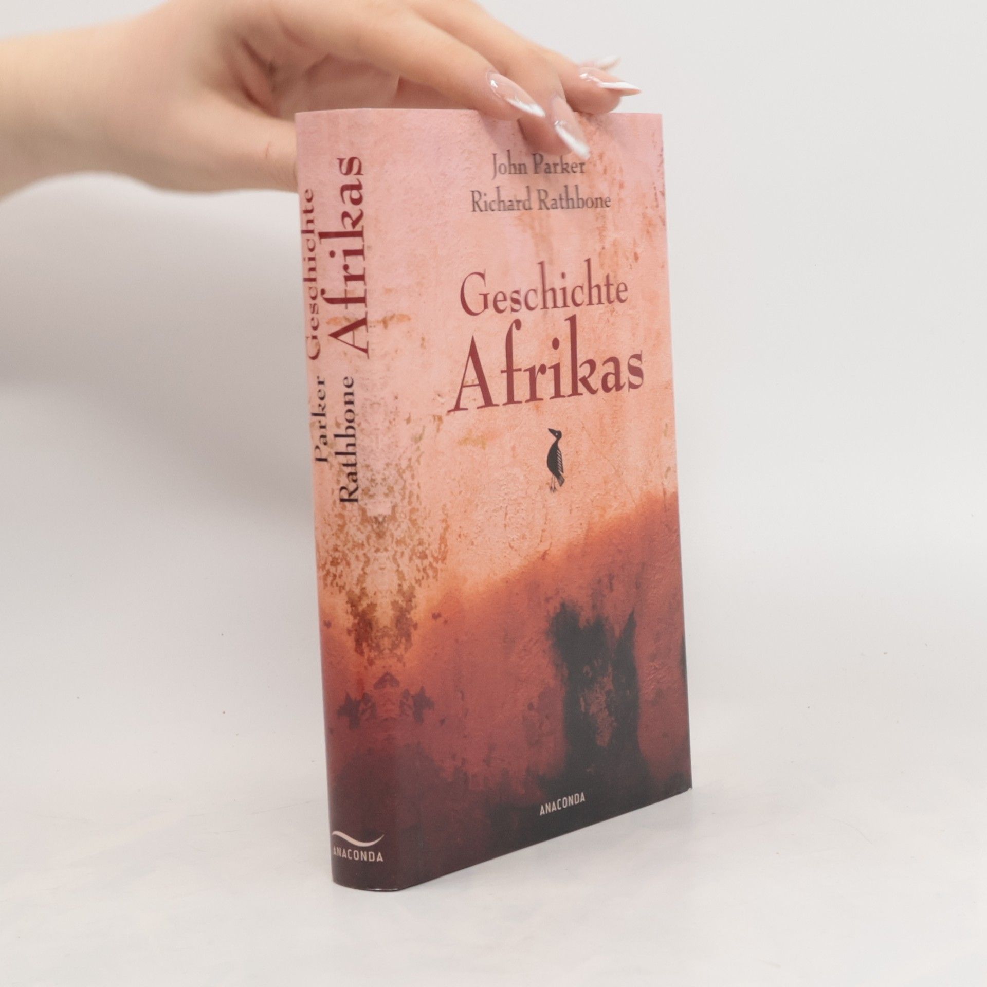 John Parker Geschichte Afrikas