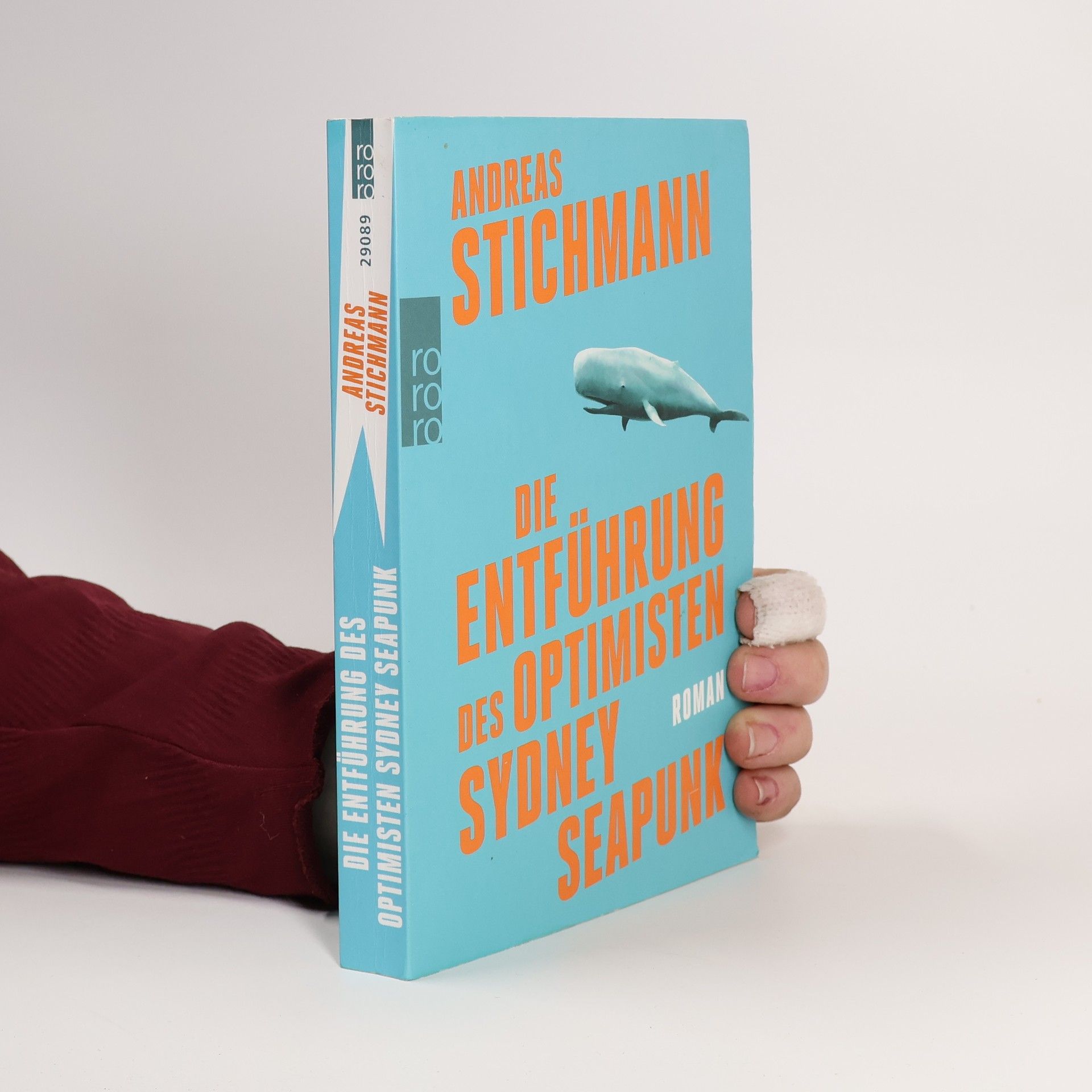 Andreas Stichmann Die Entführung des Optimisten Sydney Seapunk