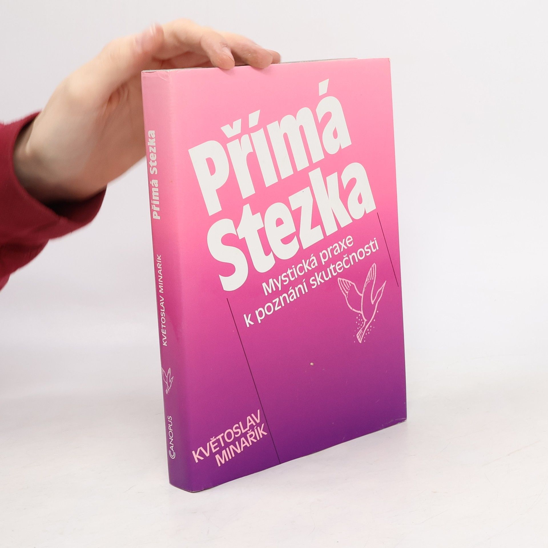 Květoslav Minařík Přímá stezka