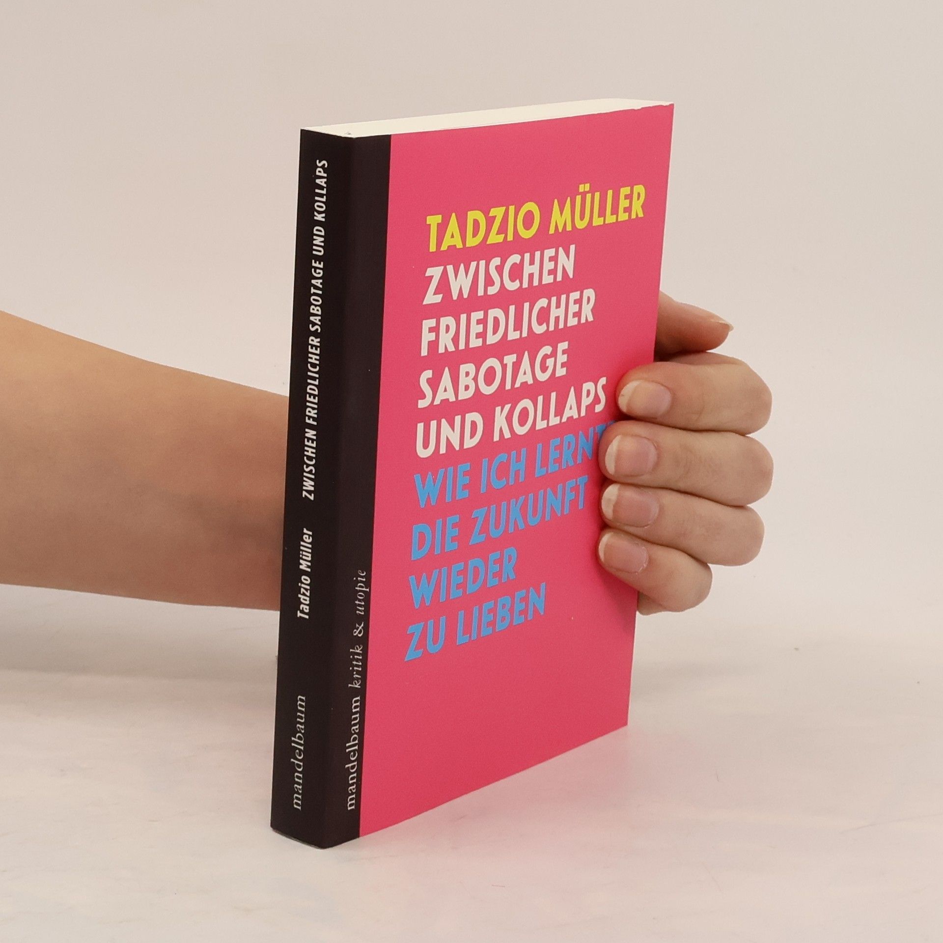 Tadzio Müller Zwischen friedlicher Sabotage und Kollaps. Wie ich lernte, die Zukunft wieder zu lieben