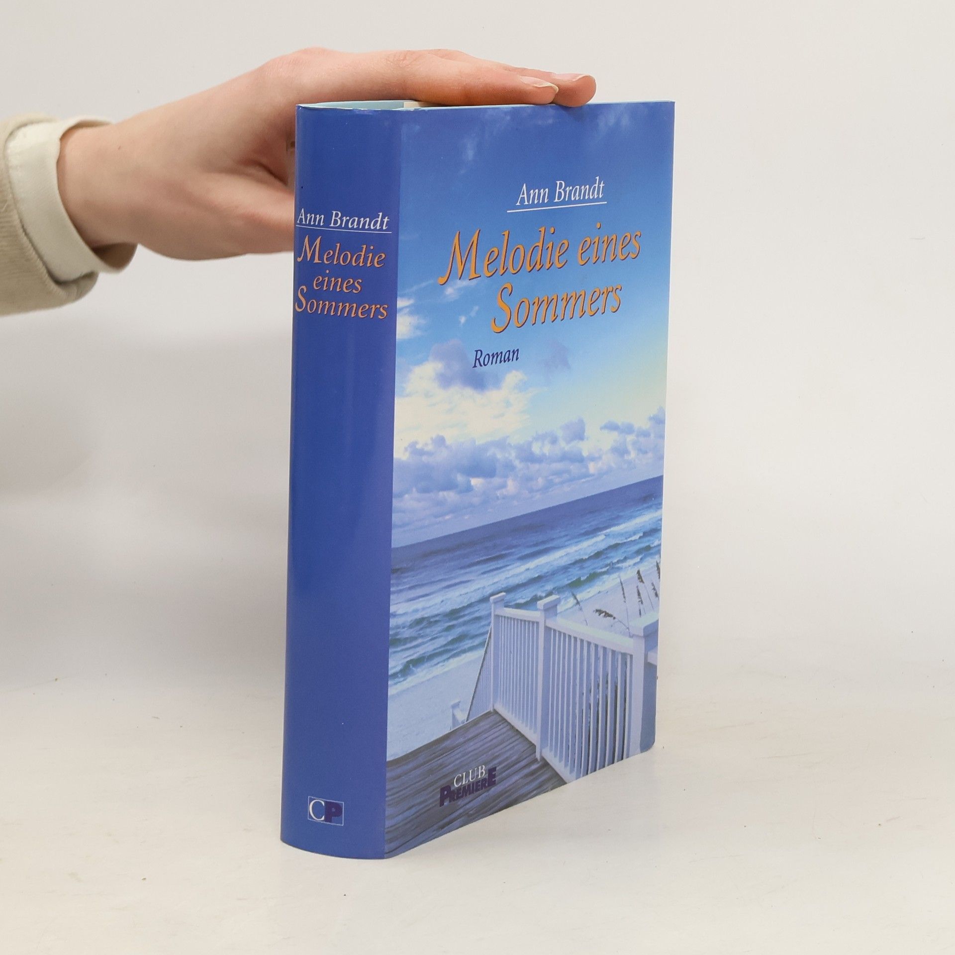 Ann Brandt Melodie eines Sommers