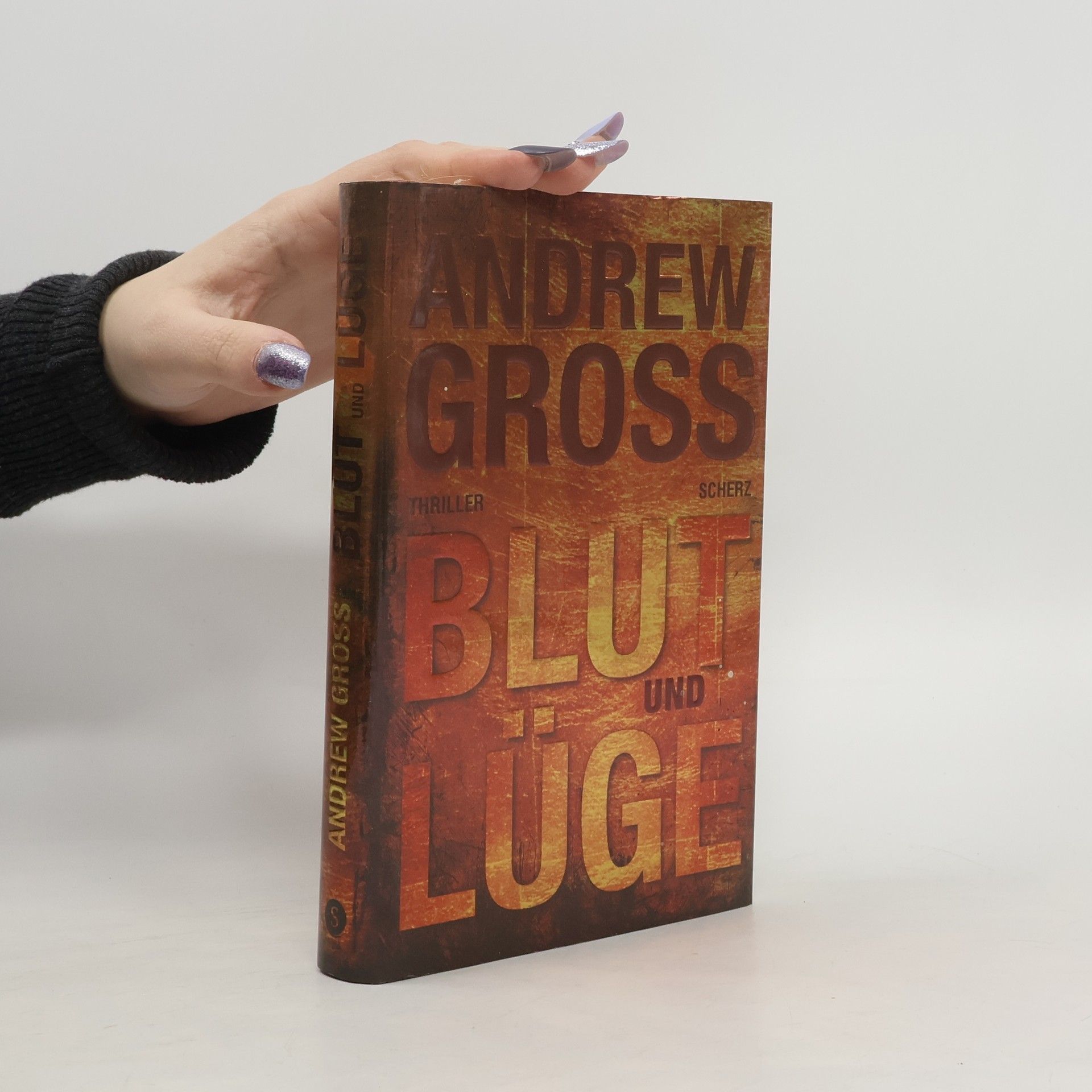 Andrew Gross Blut und Lüge