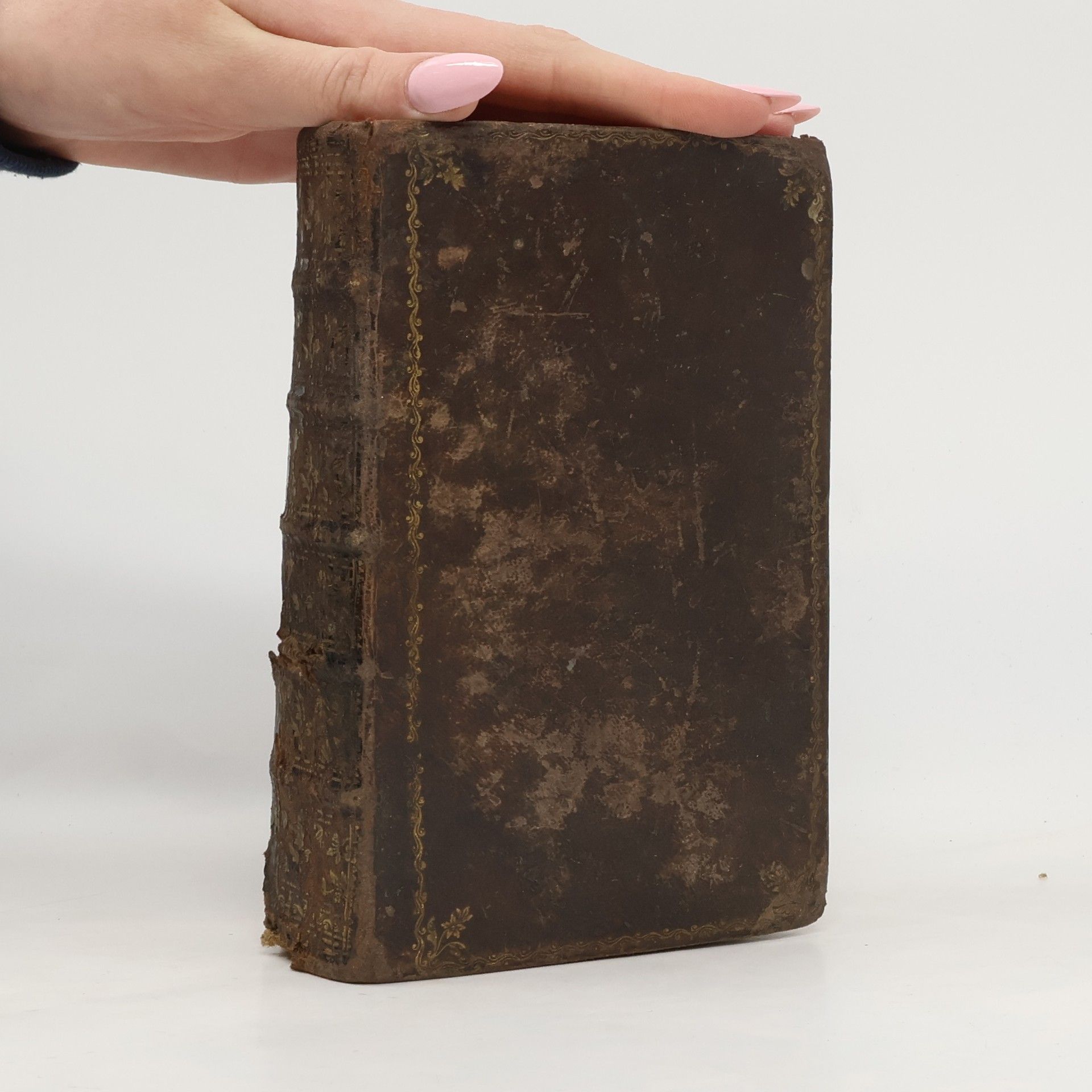 Autorenkollektiv Heilige Tagesordnung des katholischen Christen