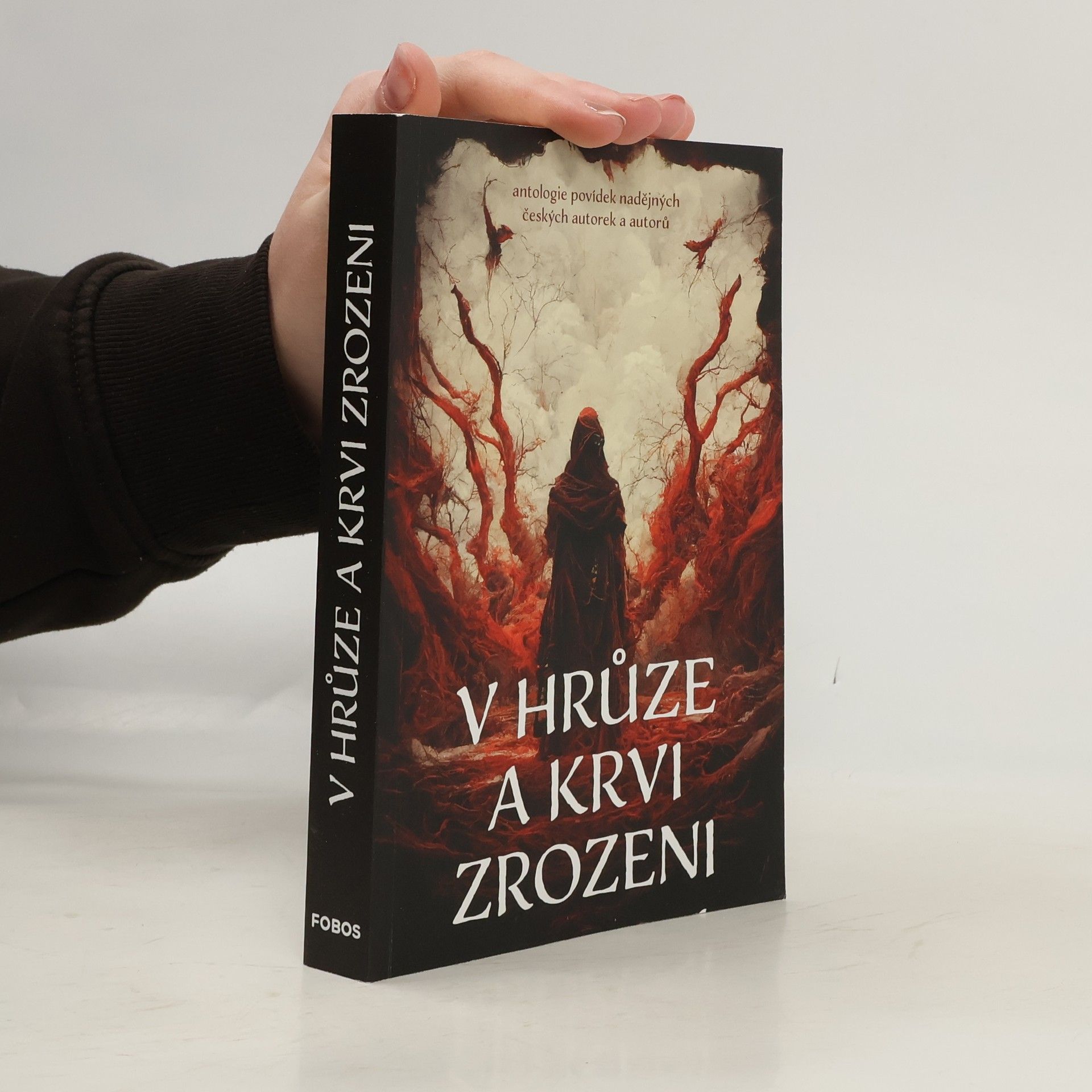 Autorenkollektiv V hrůze a krvi zrozeni