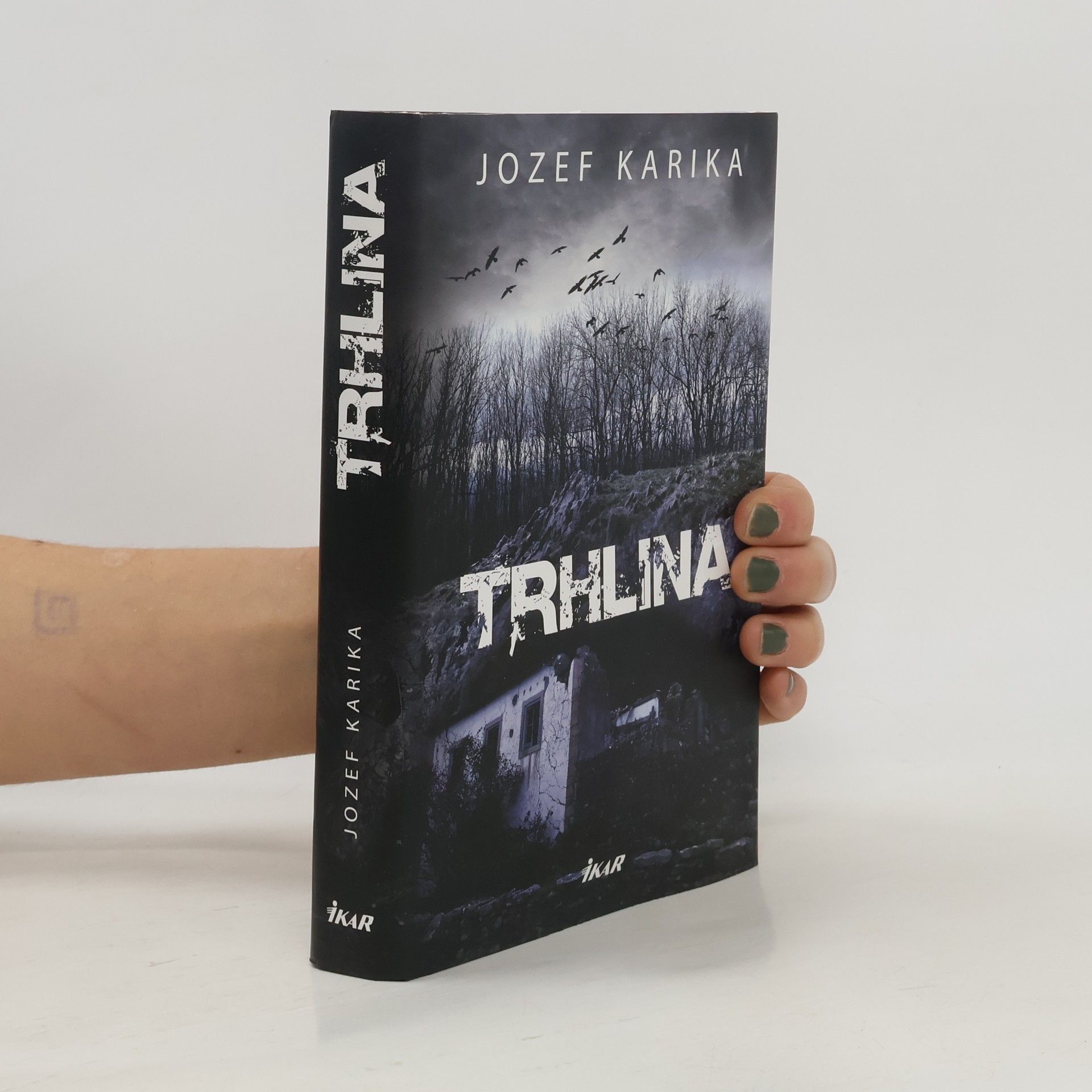 Jozef Karika Trhlina