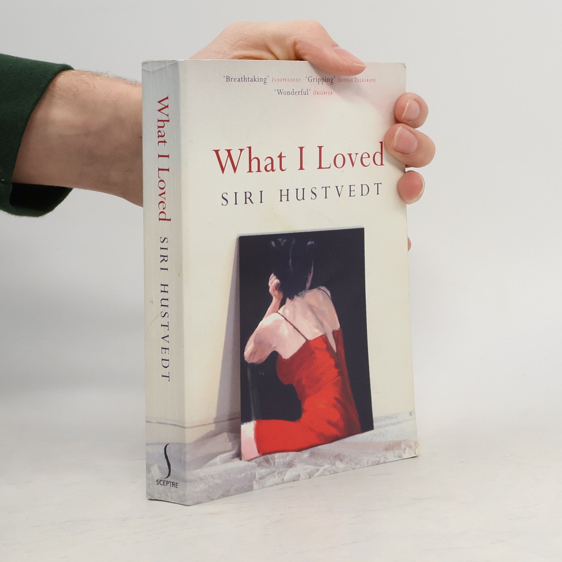 Siri Hustvedt What I Loved