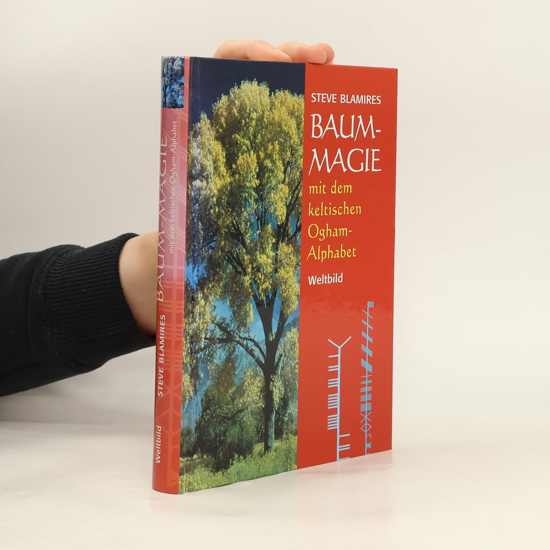 Steve Blamires Baum-Magie mit dem keltischen Ogham-Alphabet