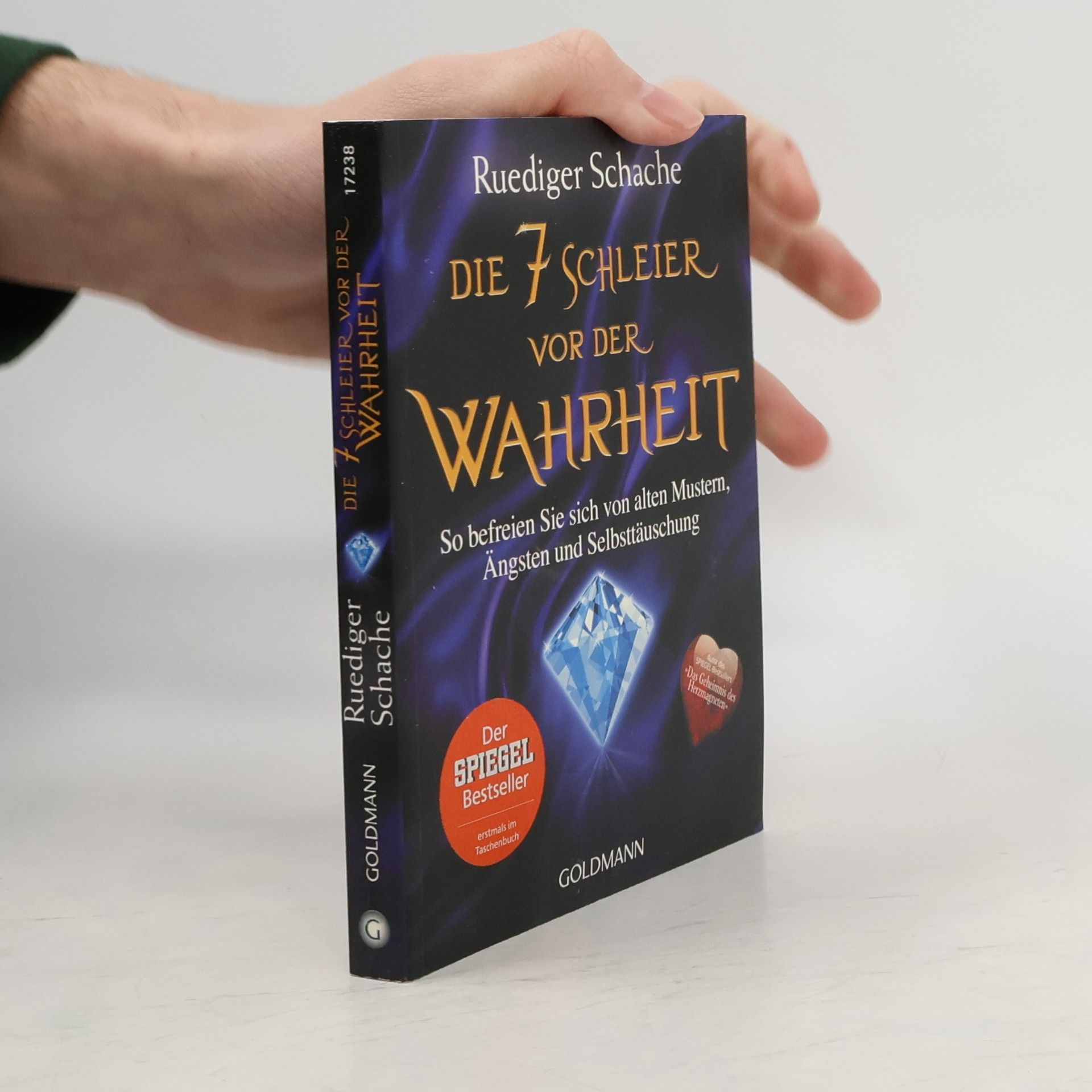 Ruediger Schache Die 7 Schleier vor der Wahrheit