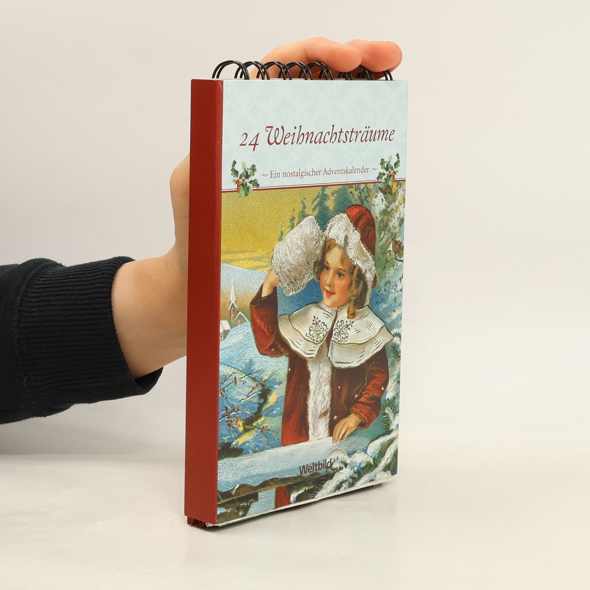 Katharina Mauder 24 Weihnachtsträume