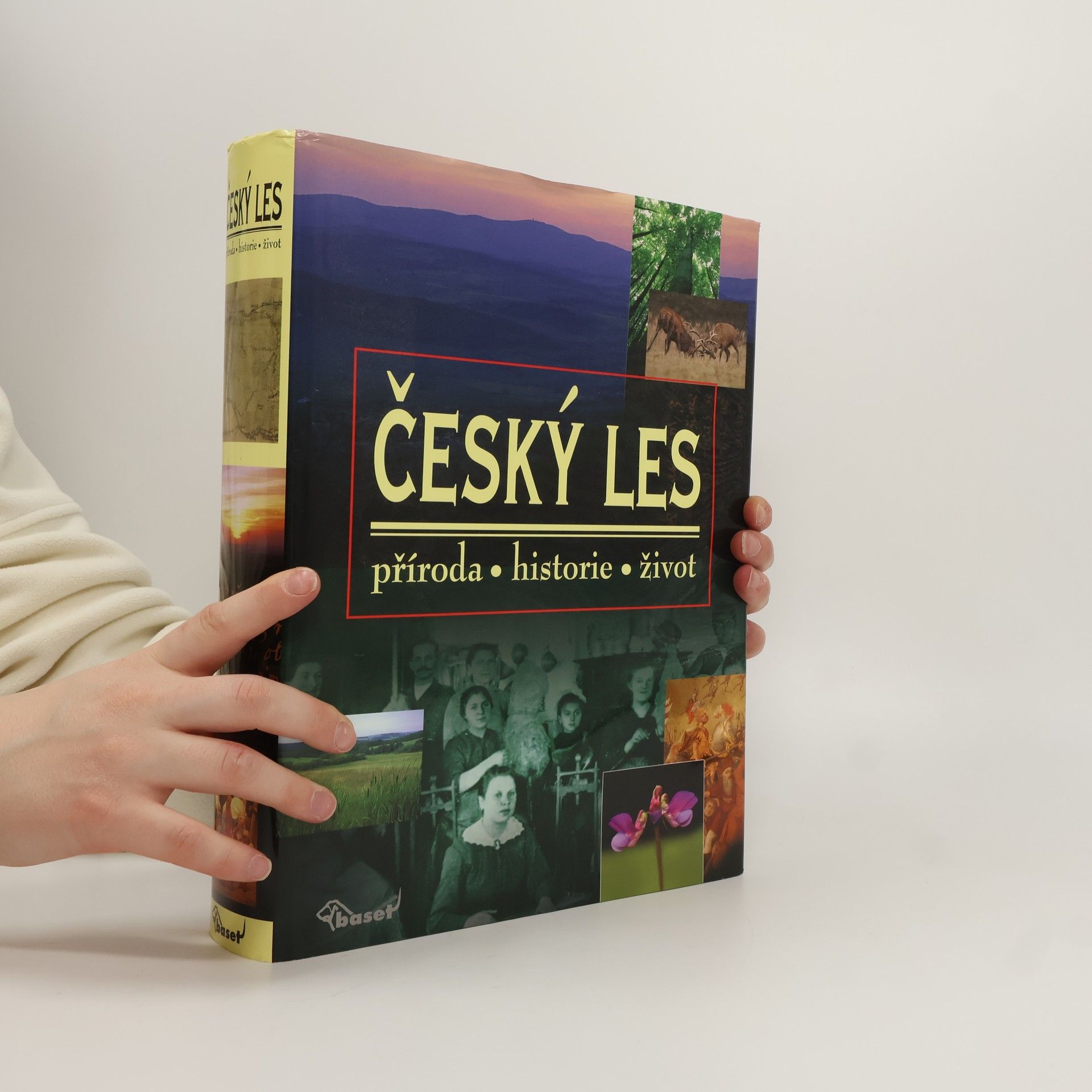 Vladislav Dudák Český les