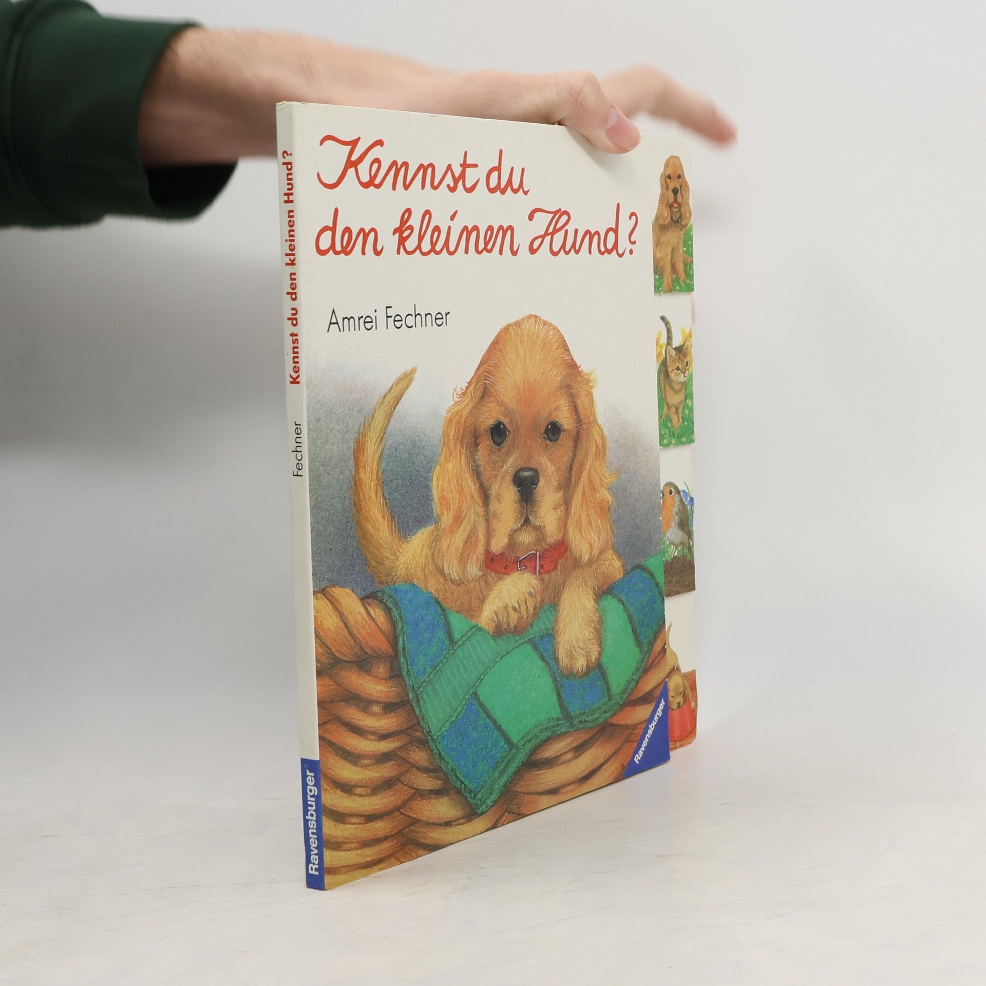 Amrei Fechner Kennst du den kleinen Hund?