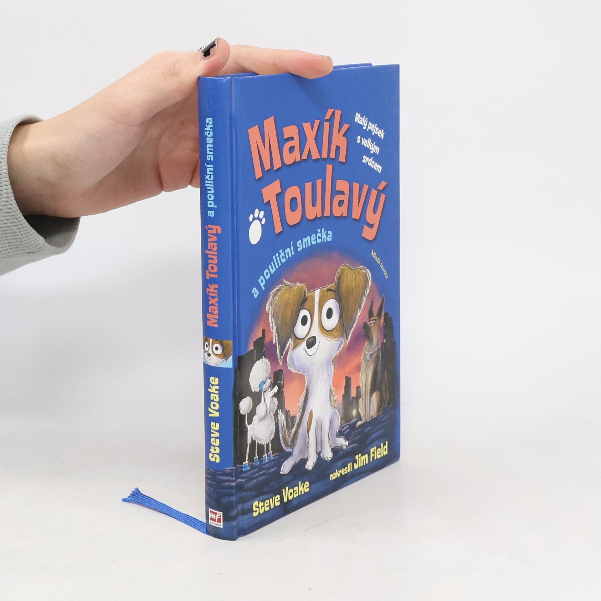 Steve Voake Maxík Toulavý a pouliční smečka