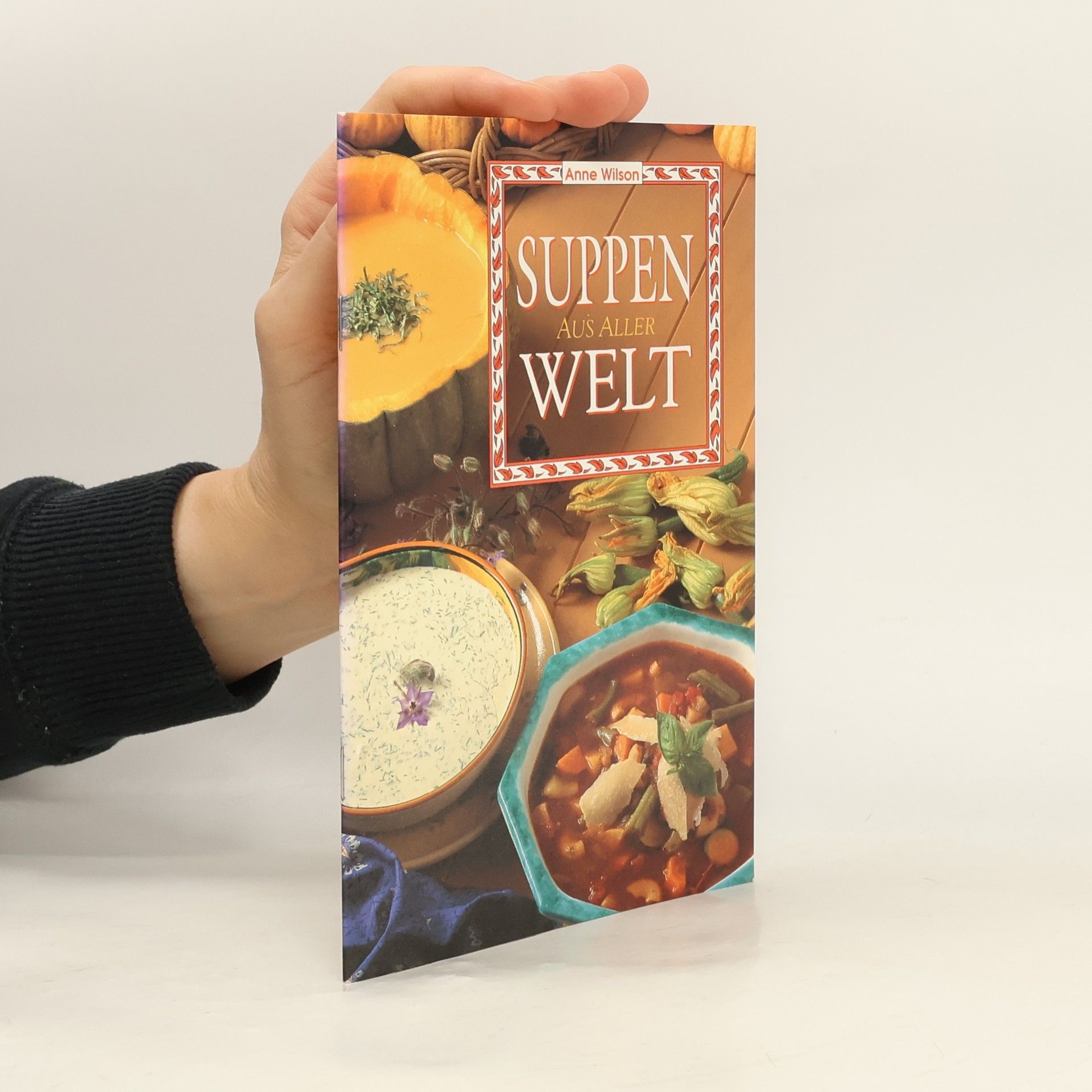 Anne Wilson Suppen aus aller Welt