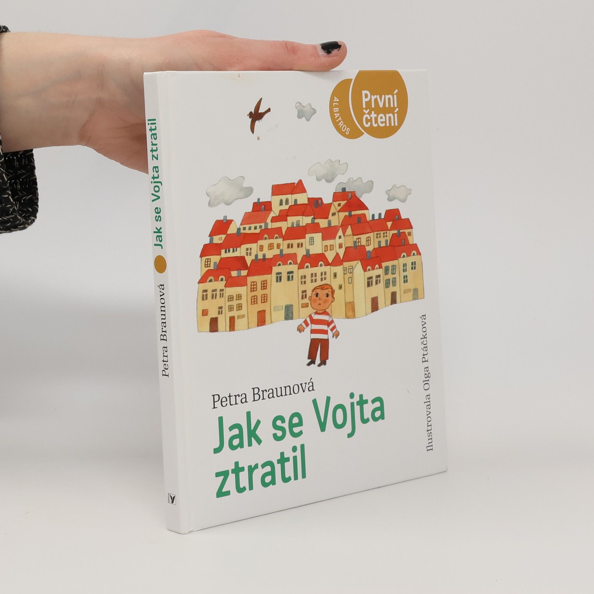 Jak se Vojta ztratil