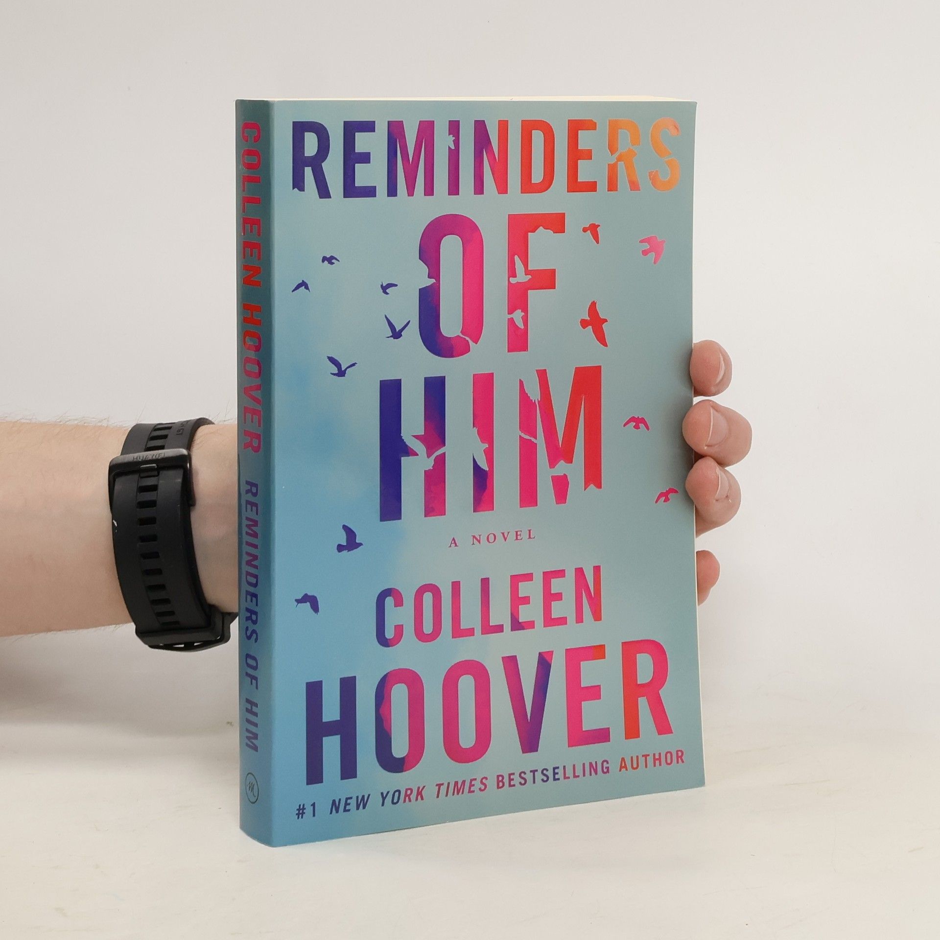 Colleen Hoover Reminders of him