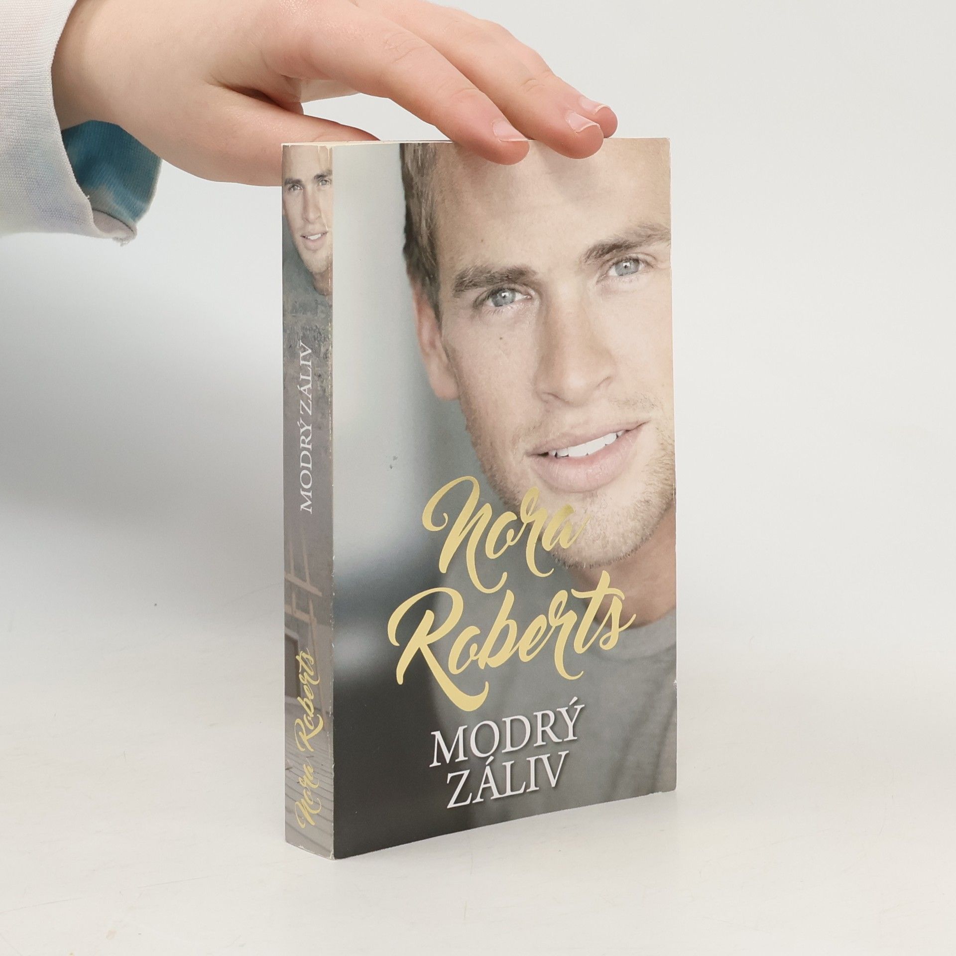 Nora Roberts Modrý záliv
