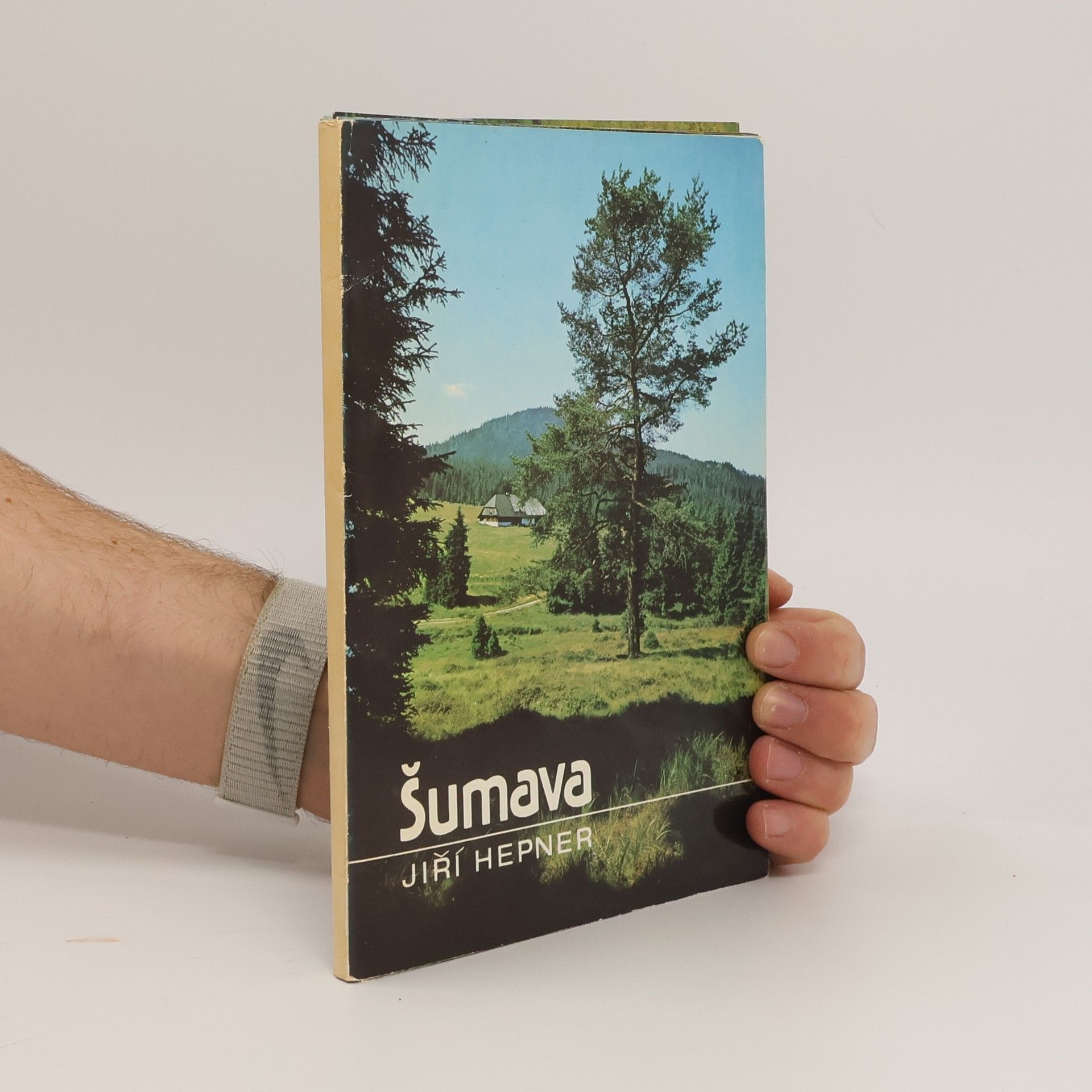 Jiří Hepner Šumava