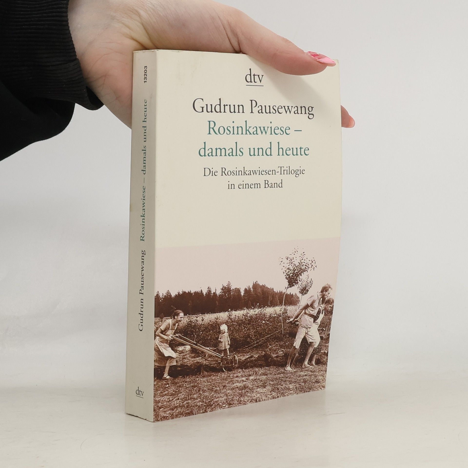 Rosinkawiese - damals und heute