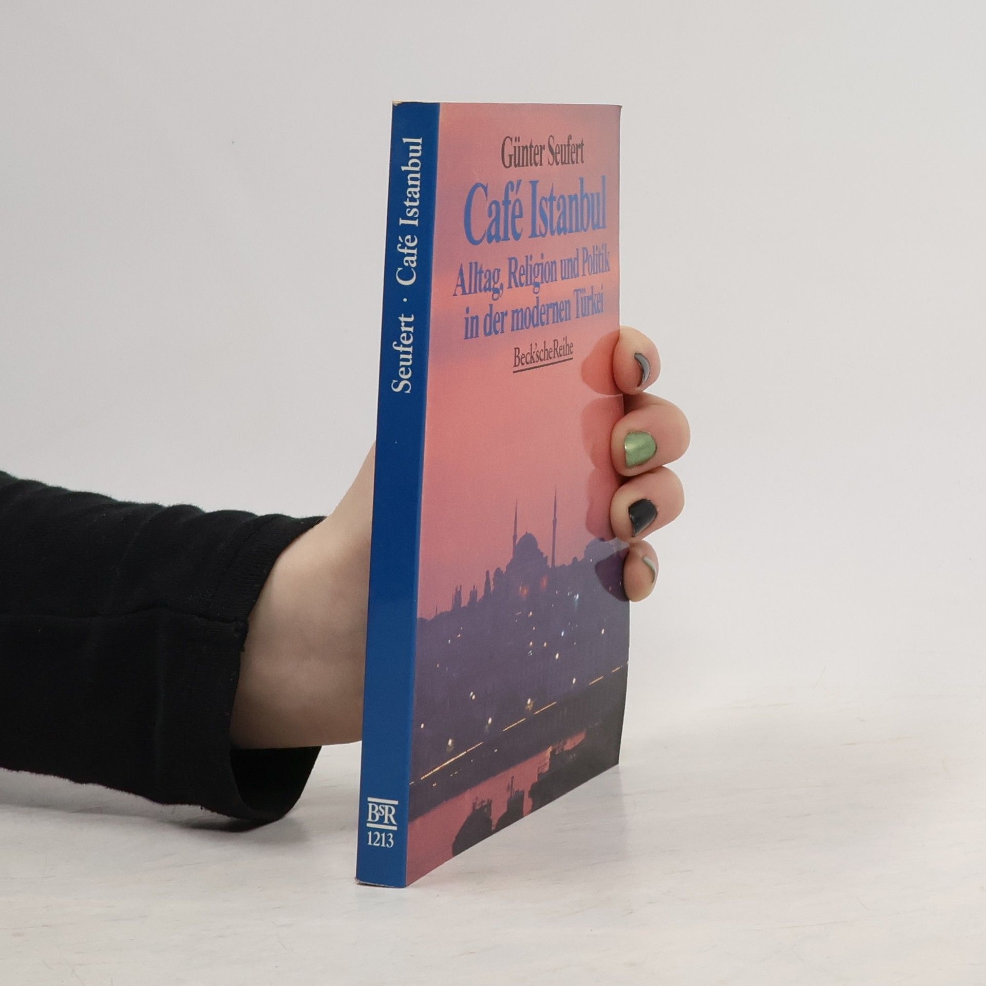 Günter Seufert Beck'sche Reihe: Café Istanbul
