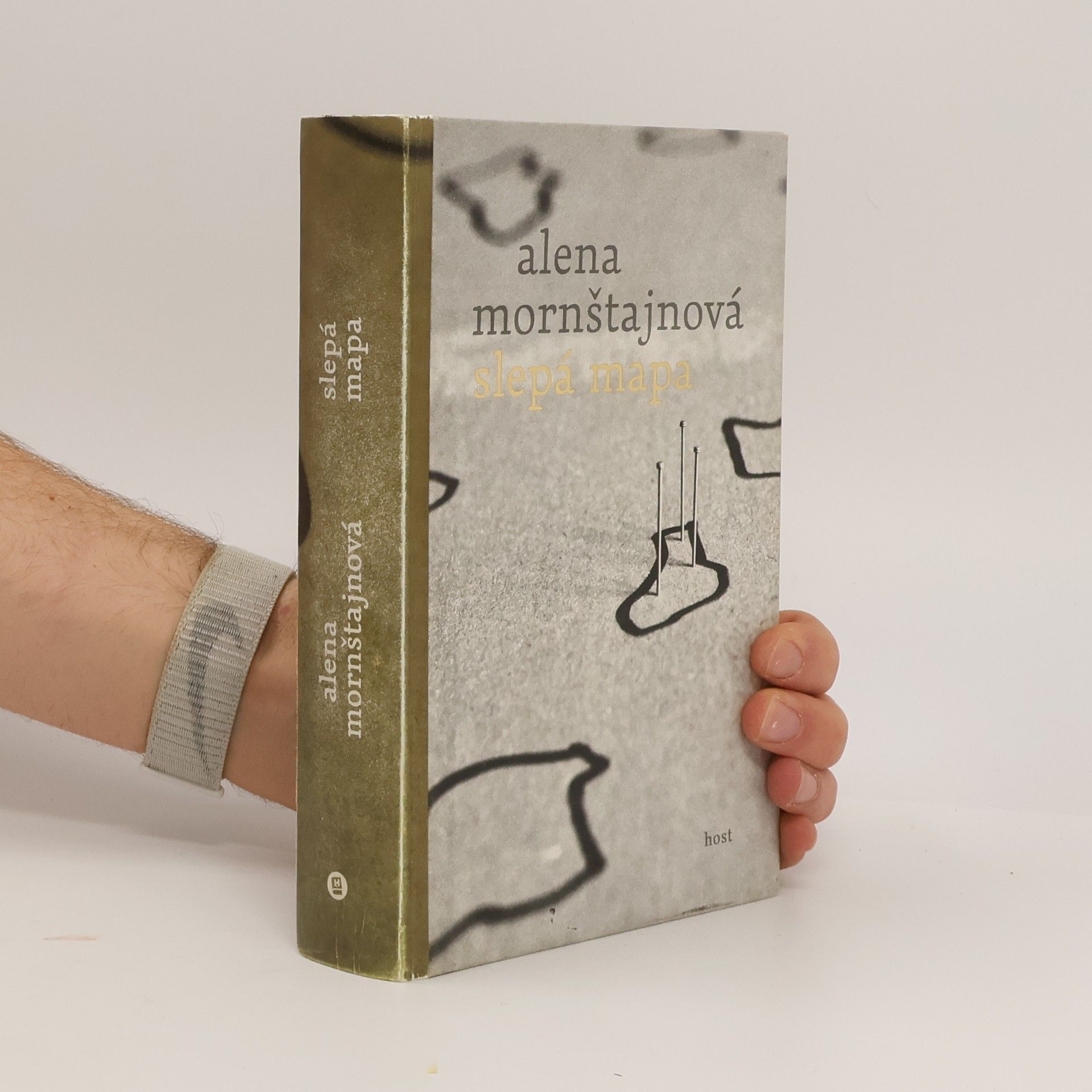 Alena Mornštajnová Slepá mapa