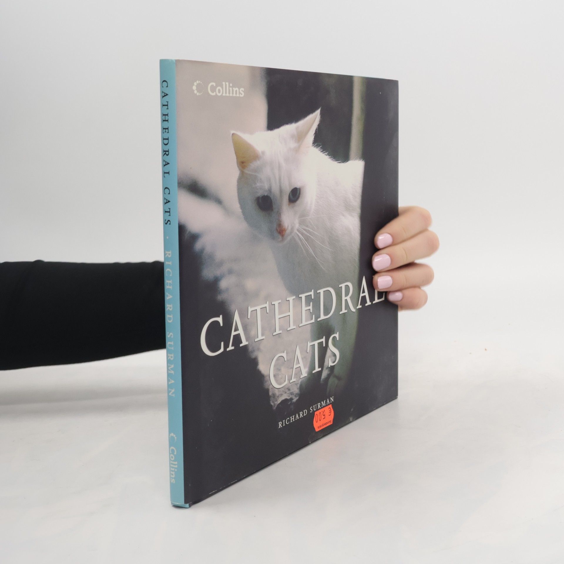 Richard Surman Cathedral Cats