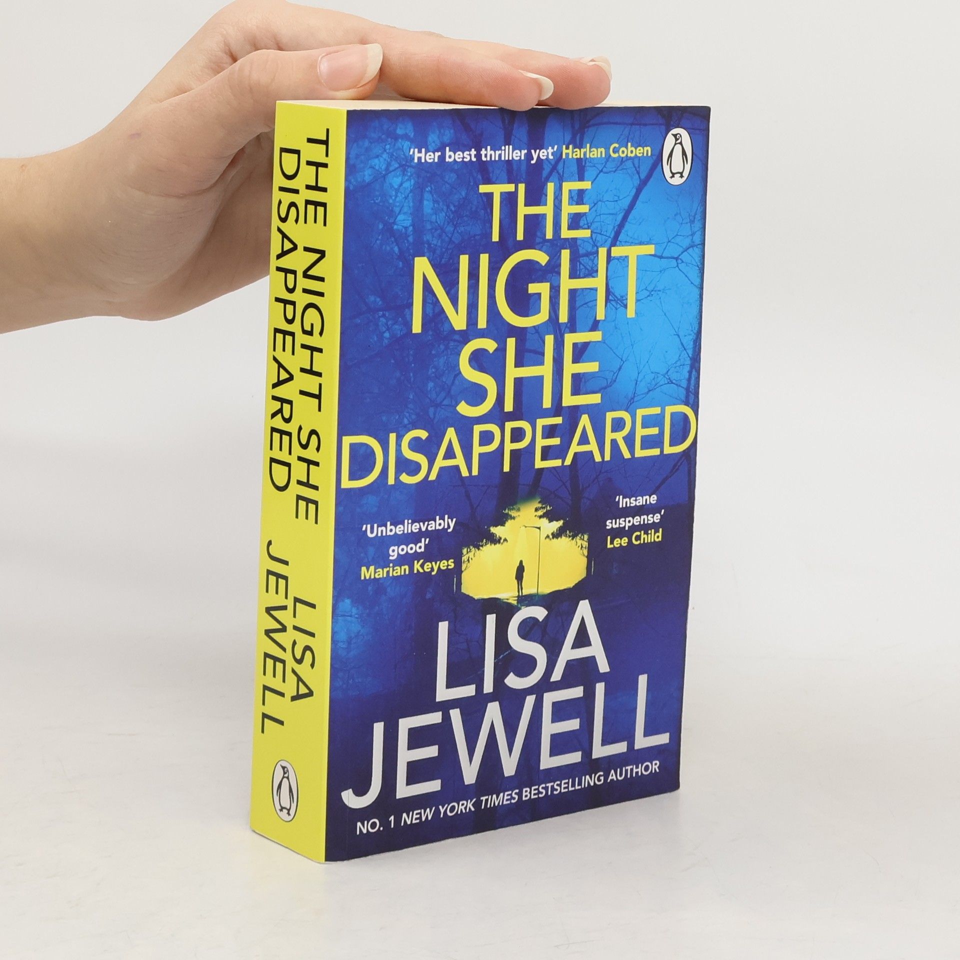 Lisa Jewell The Night She Disappeared