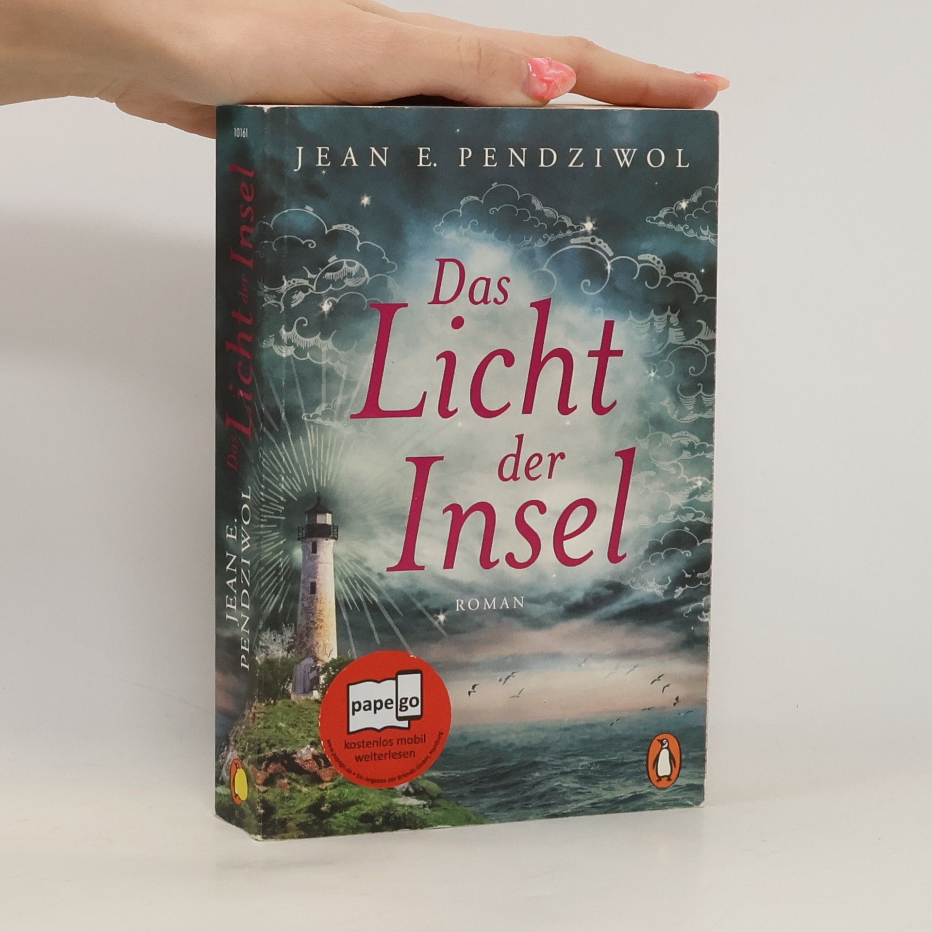 Jean Pendziwol Das Licht der Insel