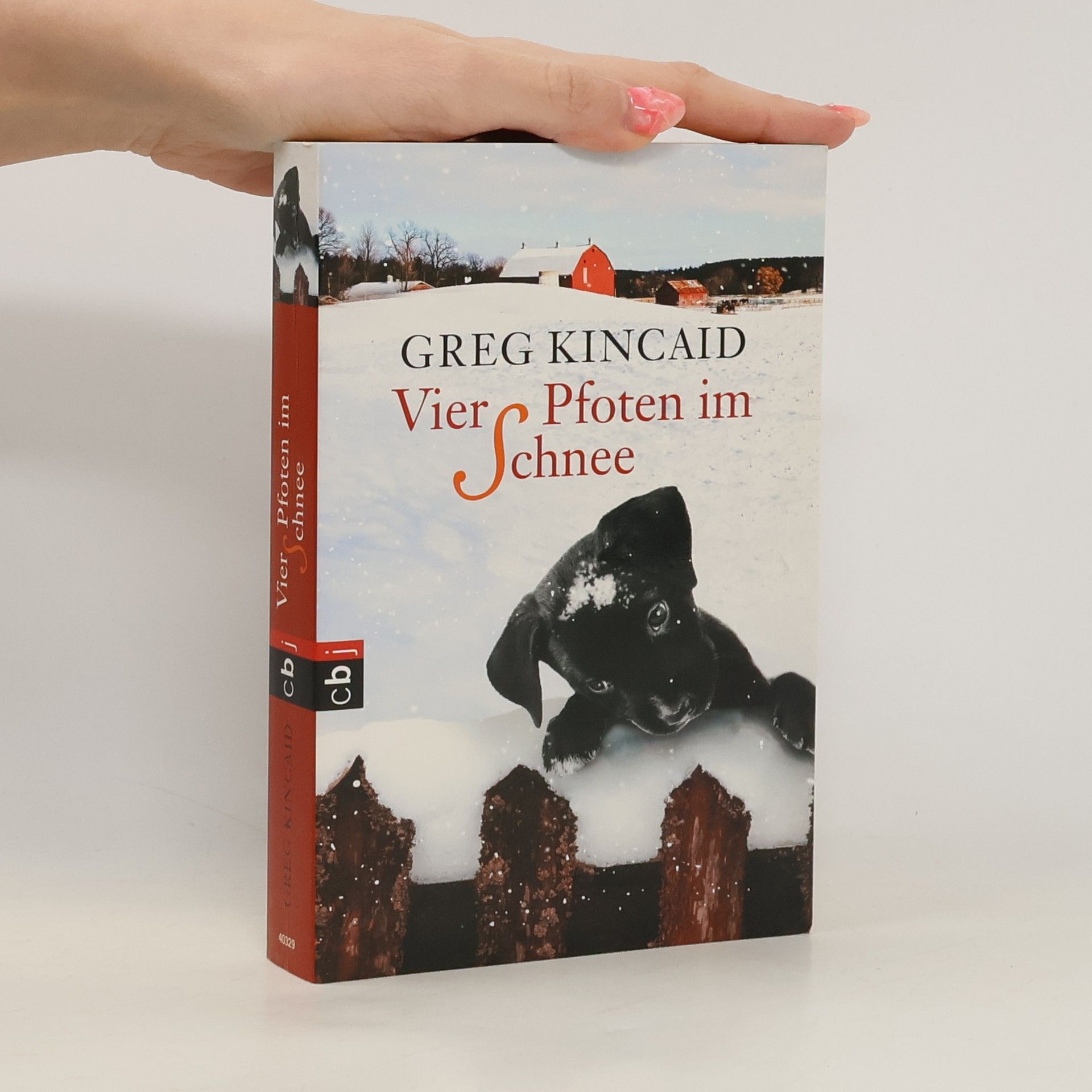 Greg Kincaid Vier Pfoten im Schnee