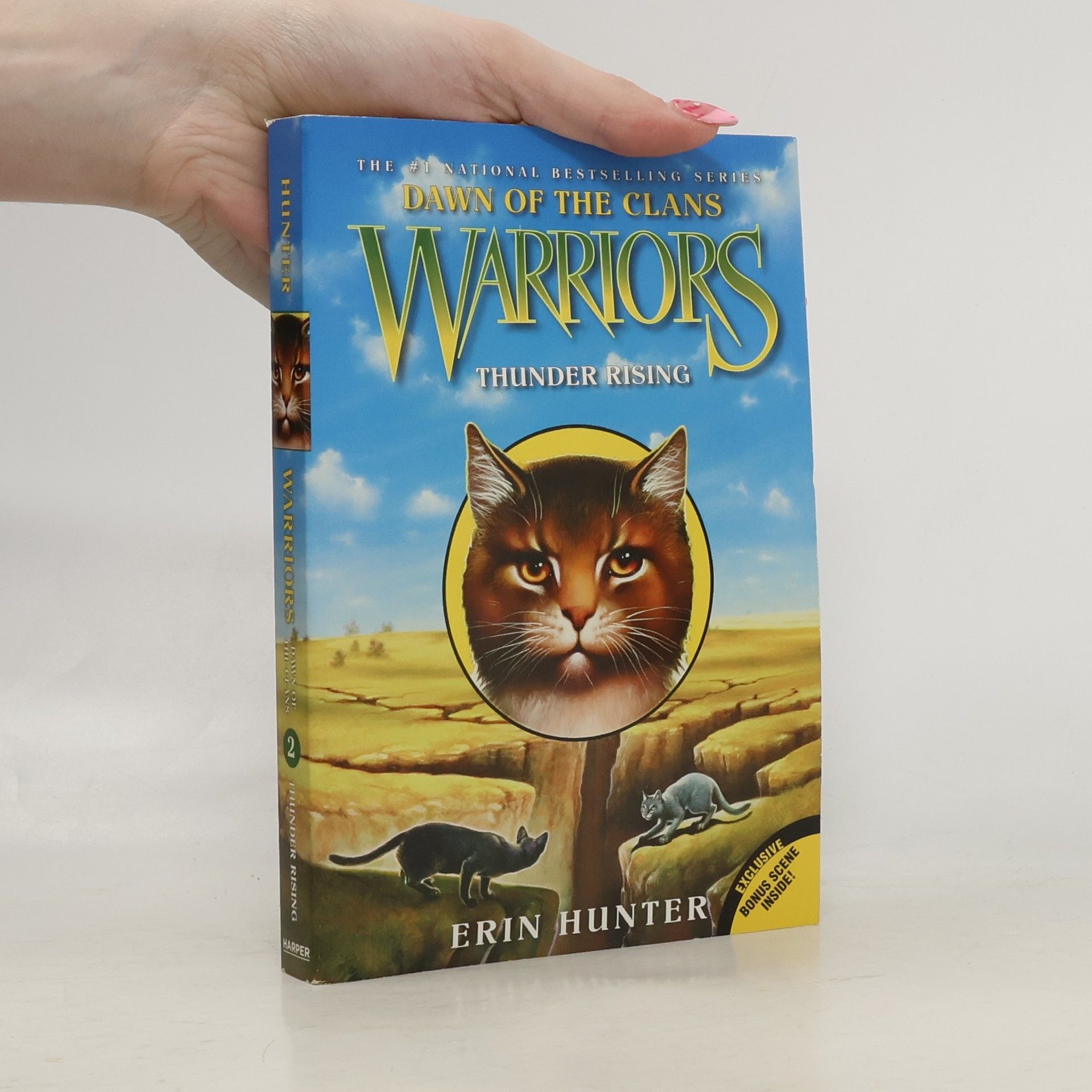 Warriors: Dawn of the Clans - 2: Thunder Rising