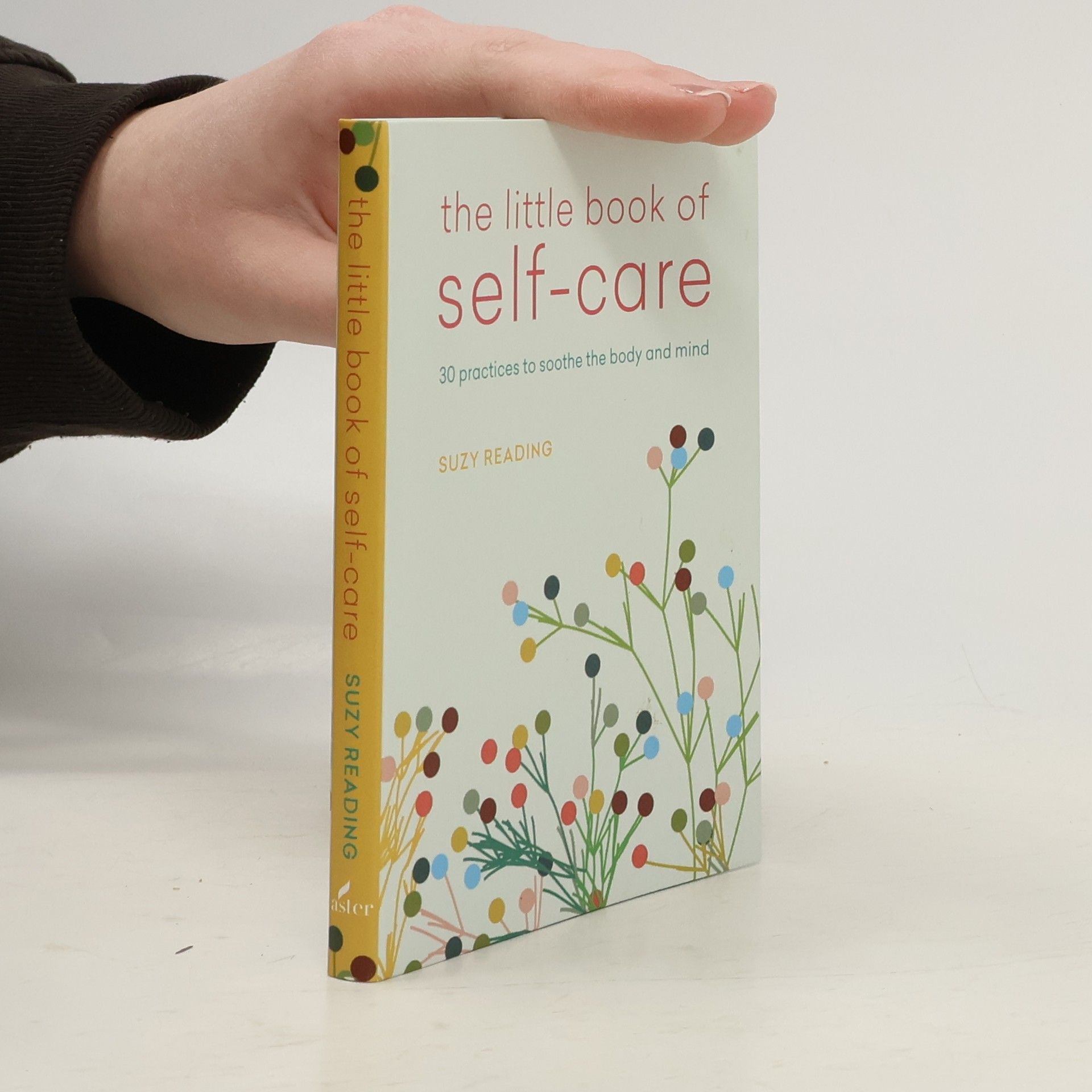 The Little Book of Self-care