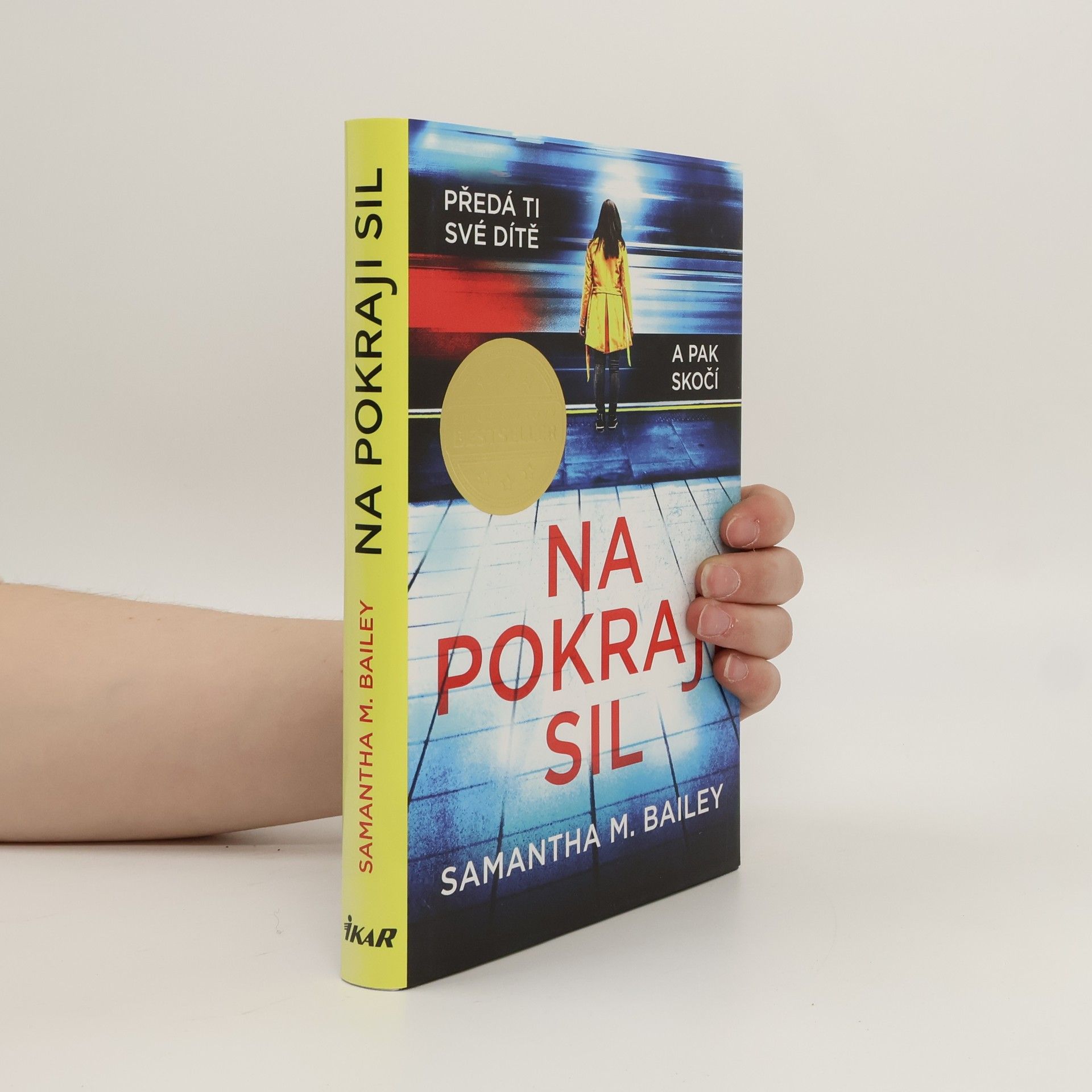 Samantha M. Bailey Na pokraji sil