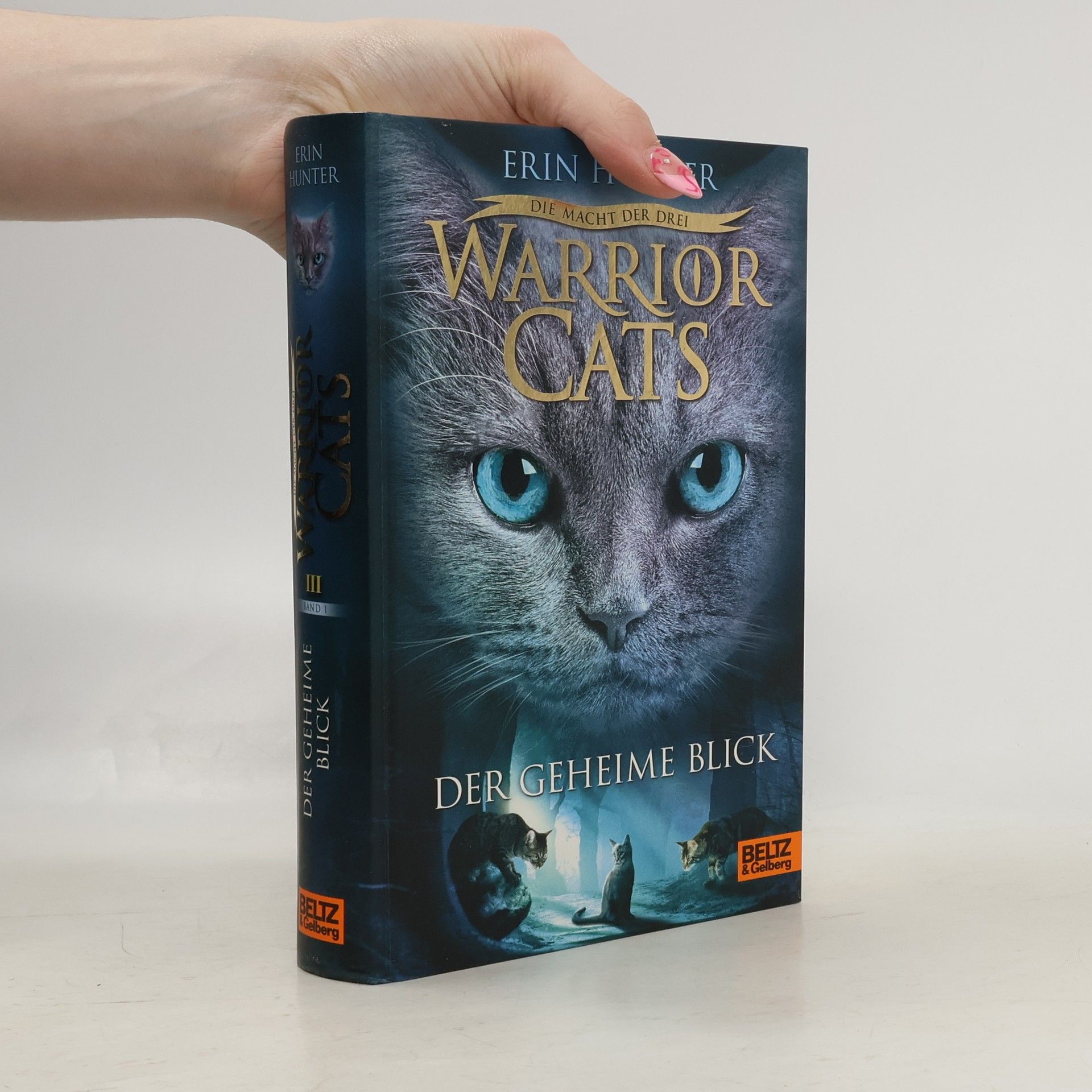 Warrior Cats: Der geheime Blick