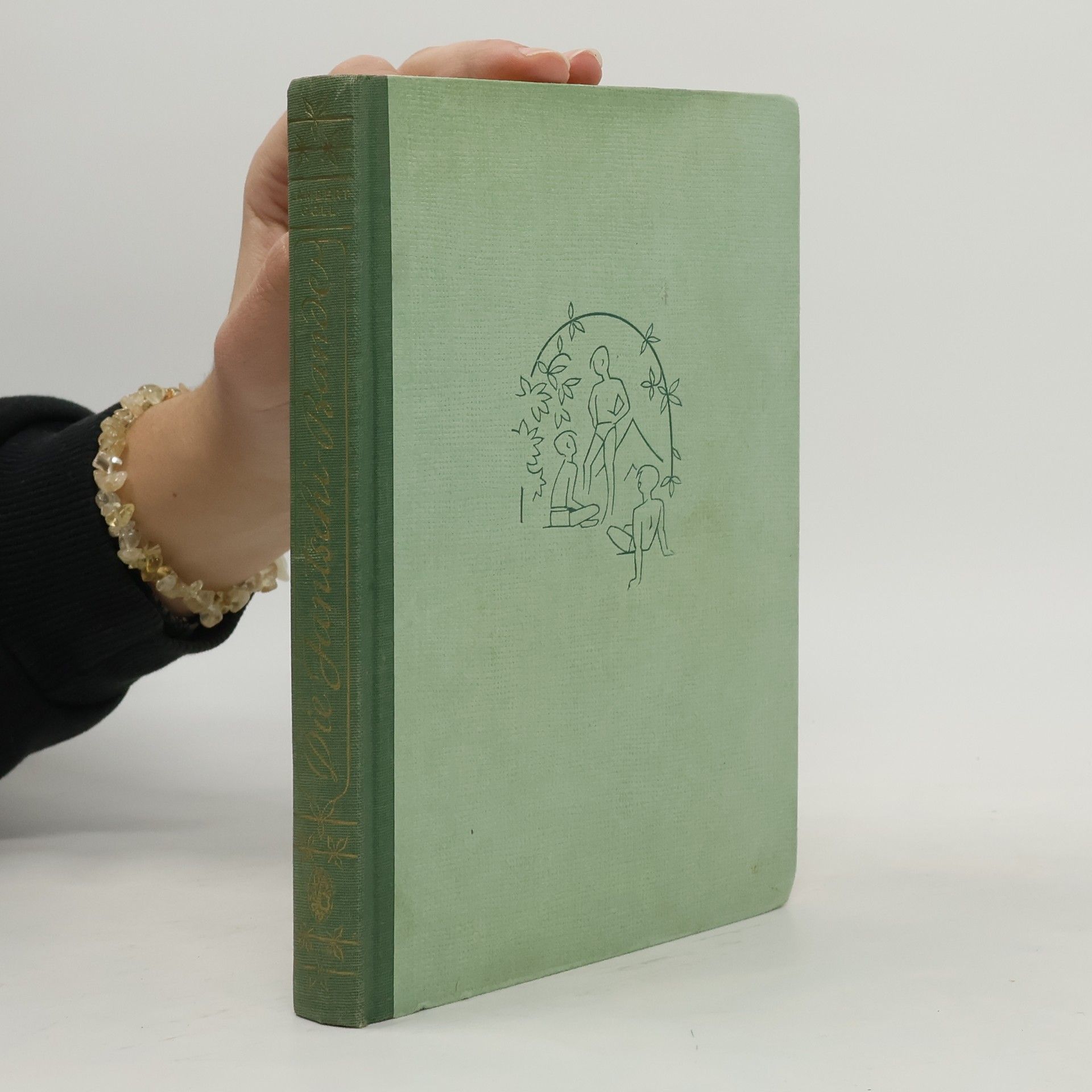 Lambert Goll Die Jantschi-Bande und ihre Streiche