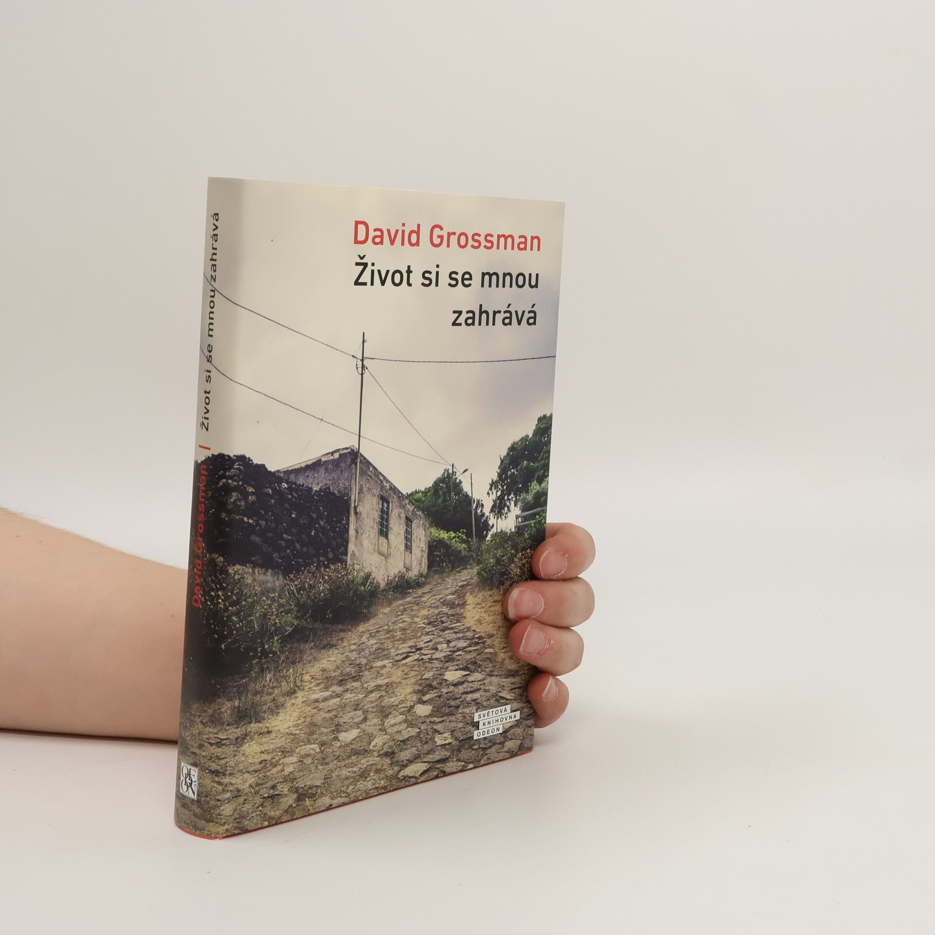 David Grossman Život si se mnou zahrává