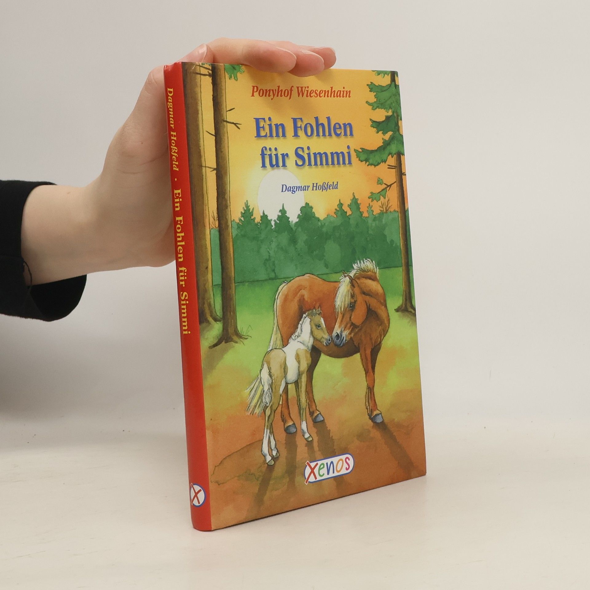 Dagmar Hoßfeld Ponyhof Wiesenhain - Ein Fohlen für Simmi