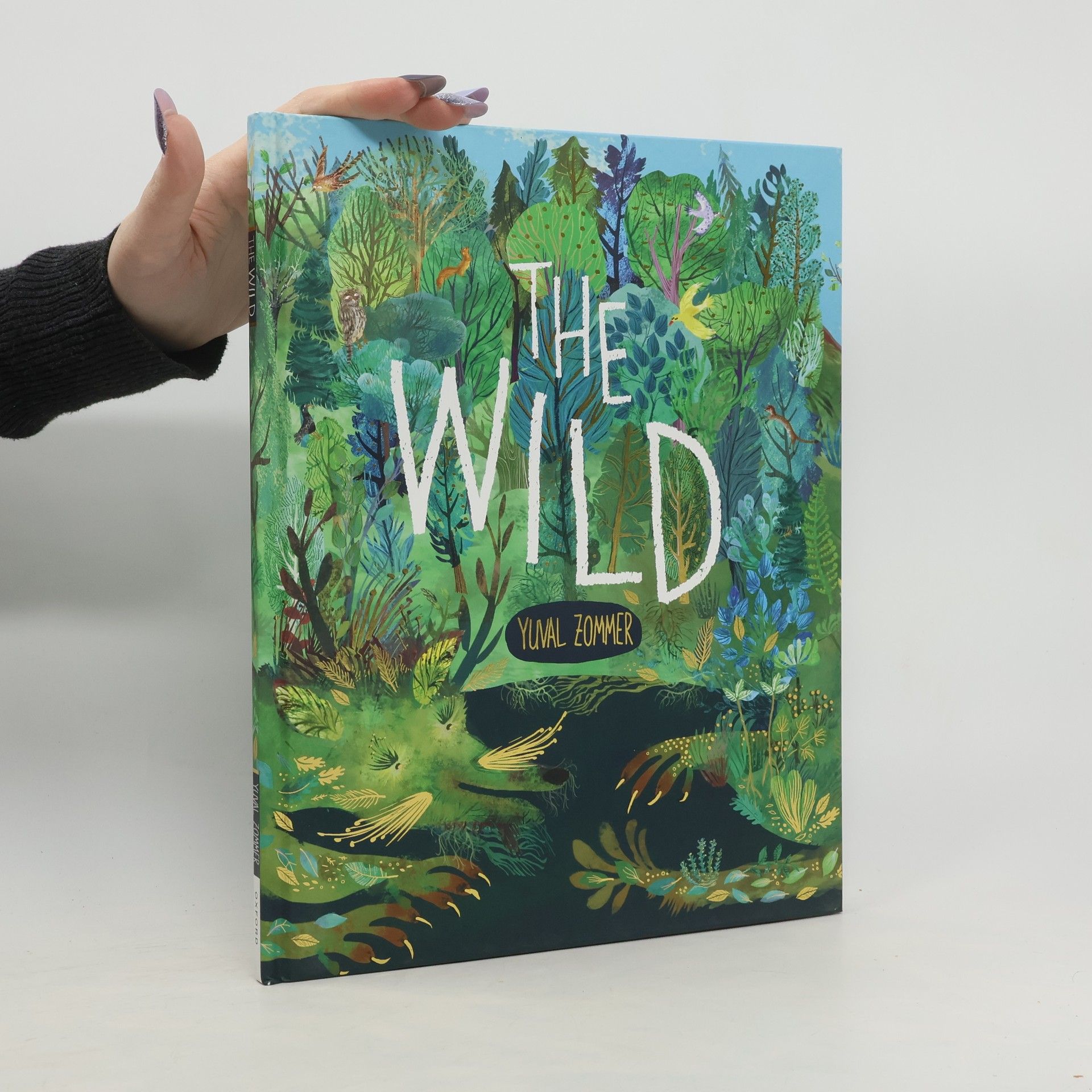 Yuval Zommer The Wild