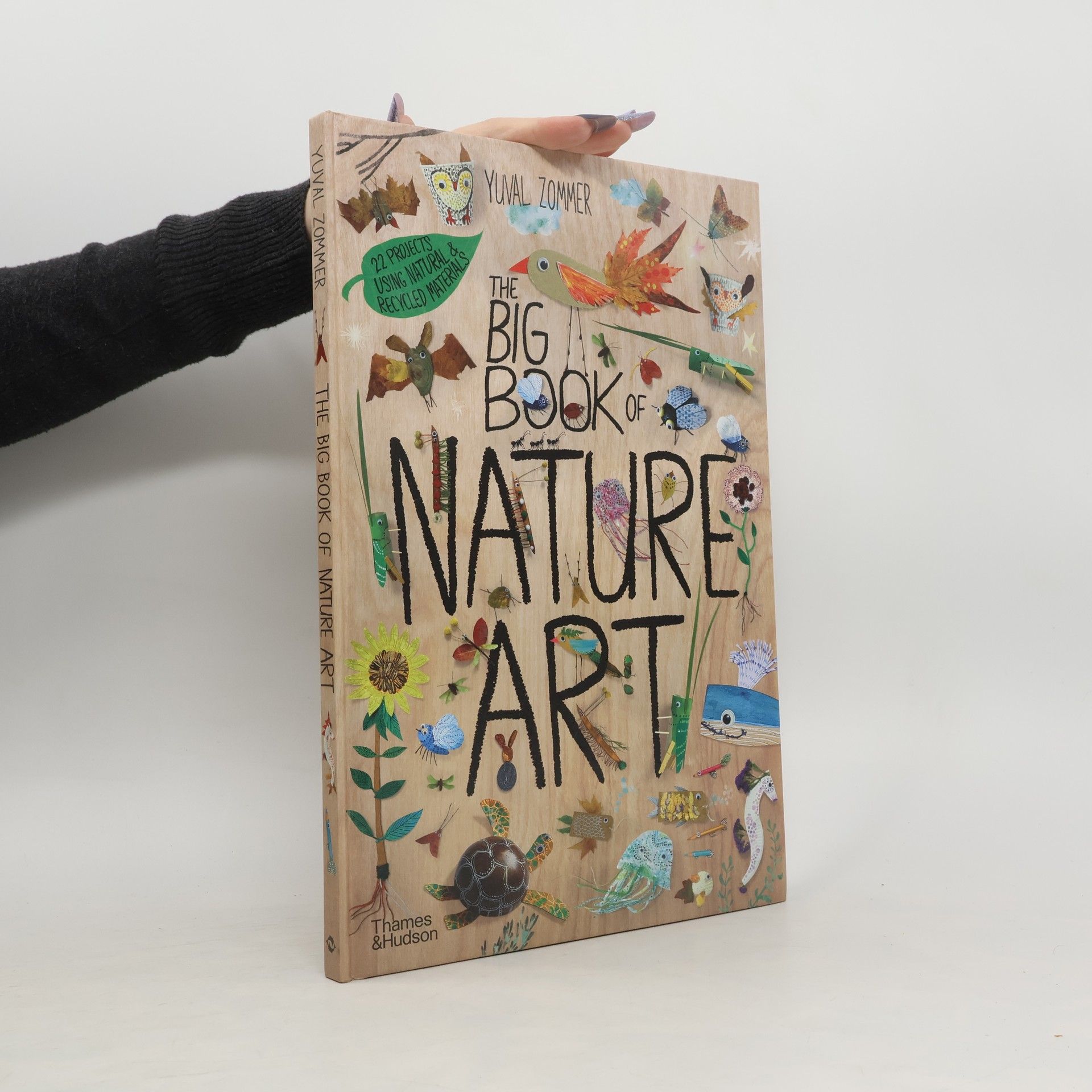 Yuval Zommer The Big Book of Nature Art