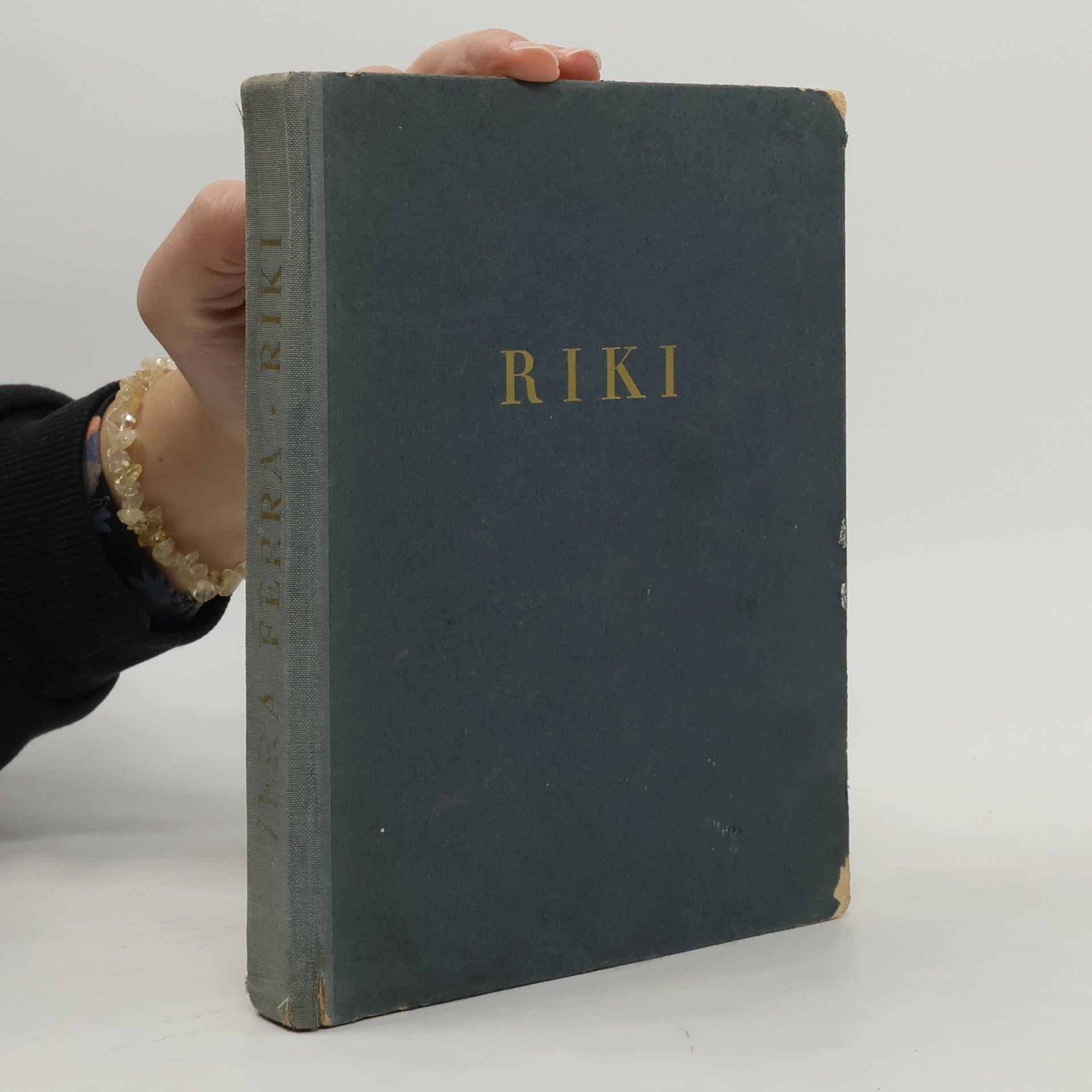 Autorenkollektiv Riki