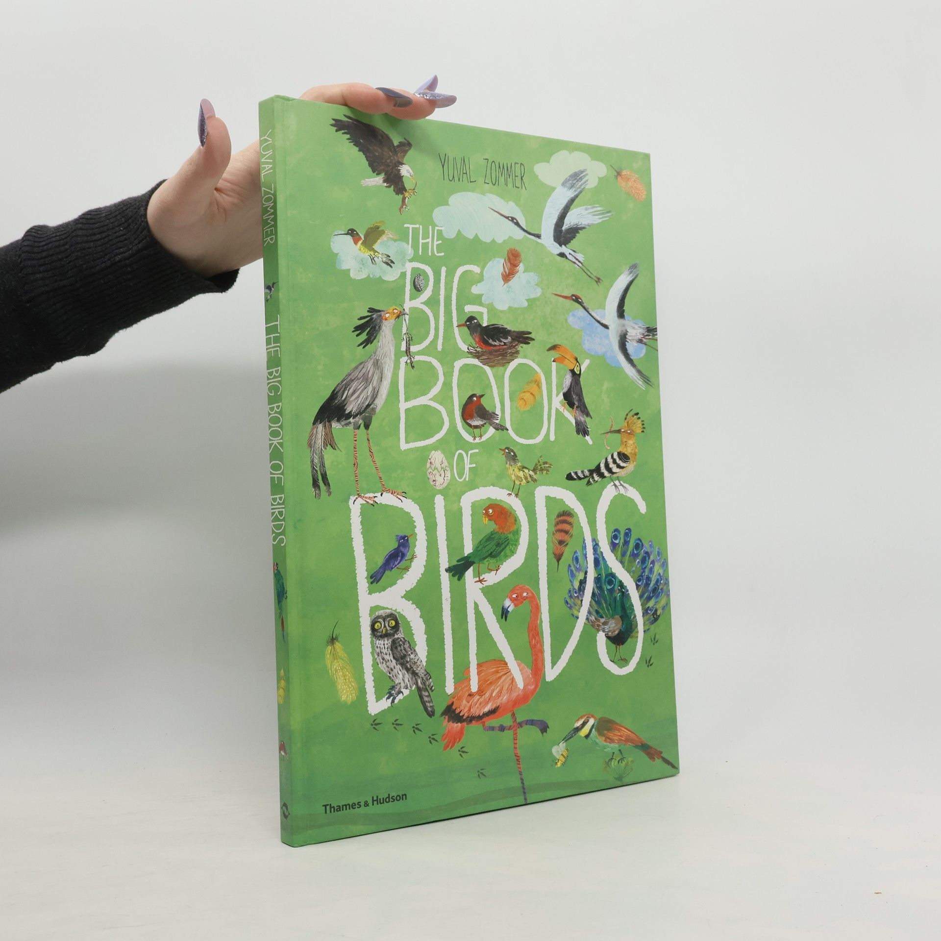 Yuval Zommer The Big Book of Birds
