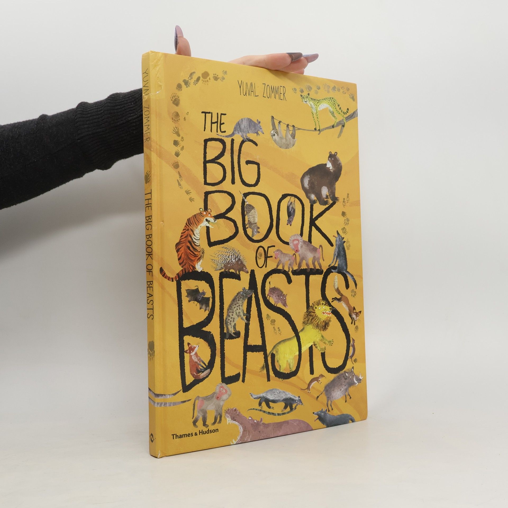 Yuval Zommer The Big Book of Beasts