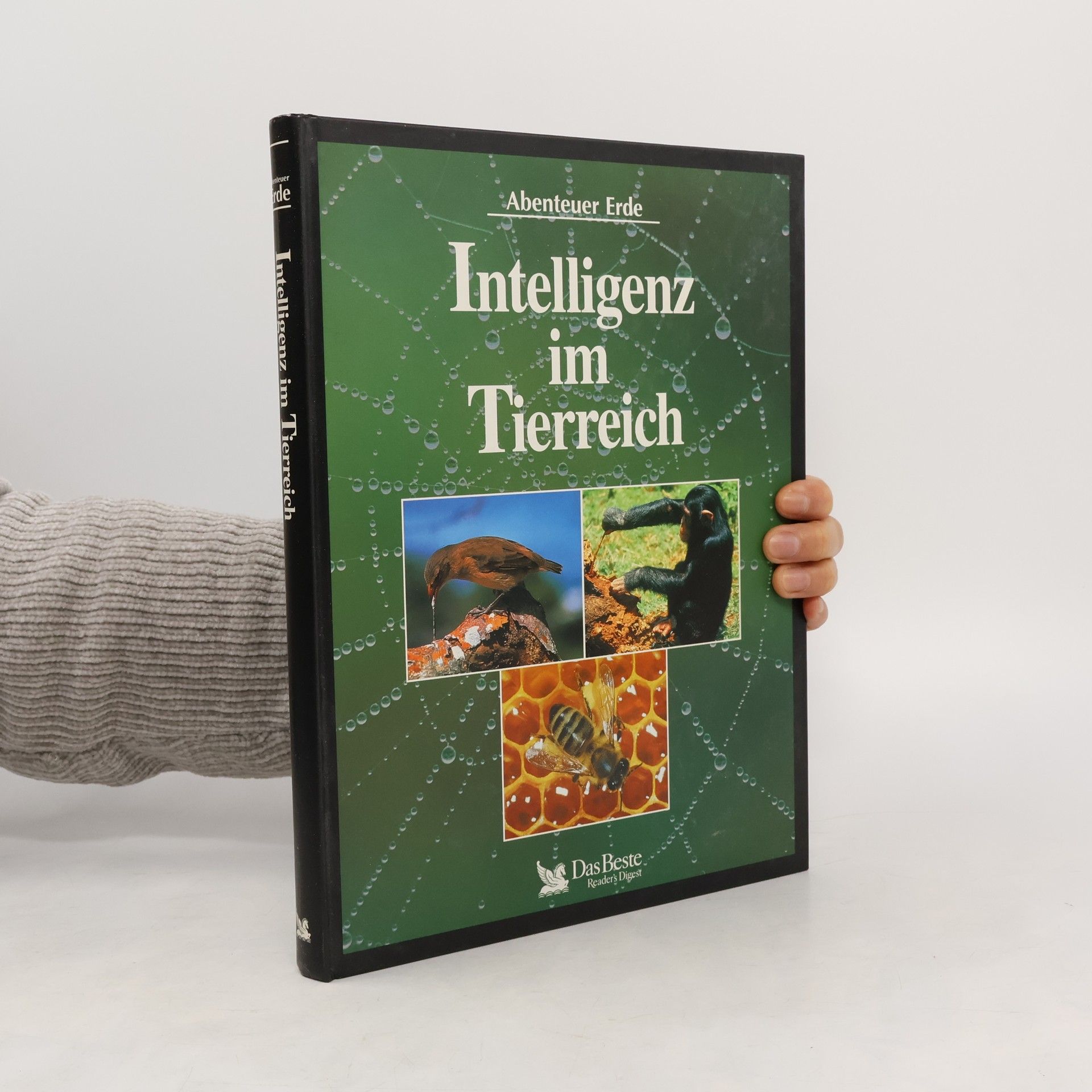 Autorenkollektiv Intelligenz im Tierreich