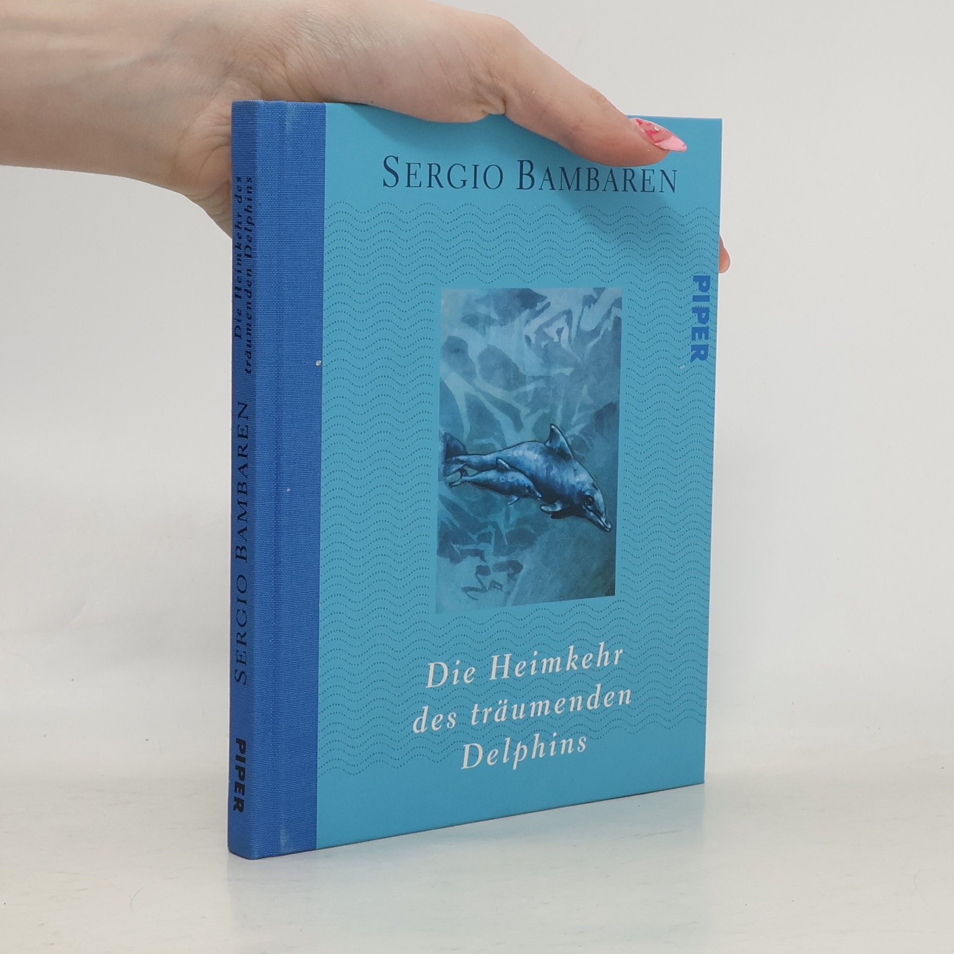Sergio Bambaren Roggero Die Heimkehr des träumenden Delphins