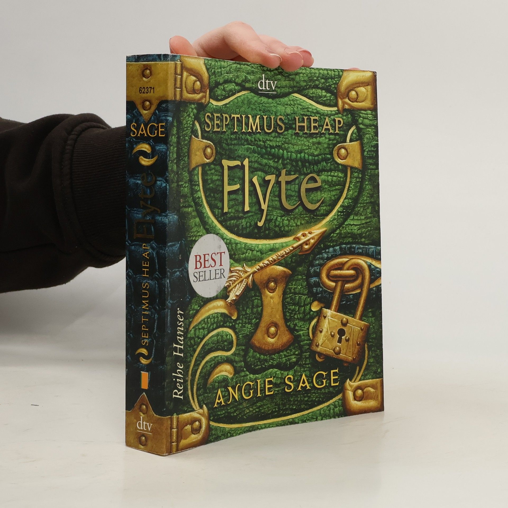 Angie Sage Septimus Heap: Flyte
