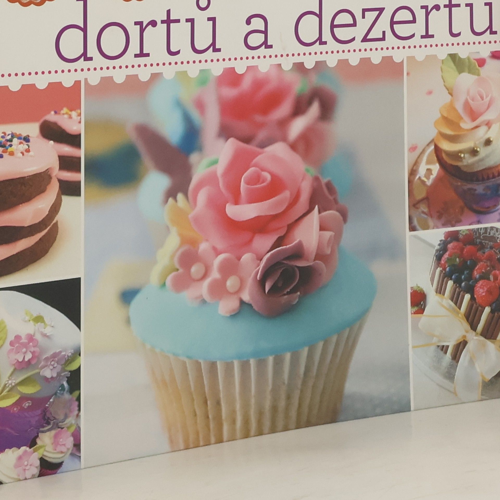 Sandra Salamony 1000 nápadů na zdobení dortů a dezertů