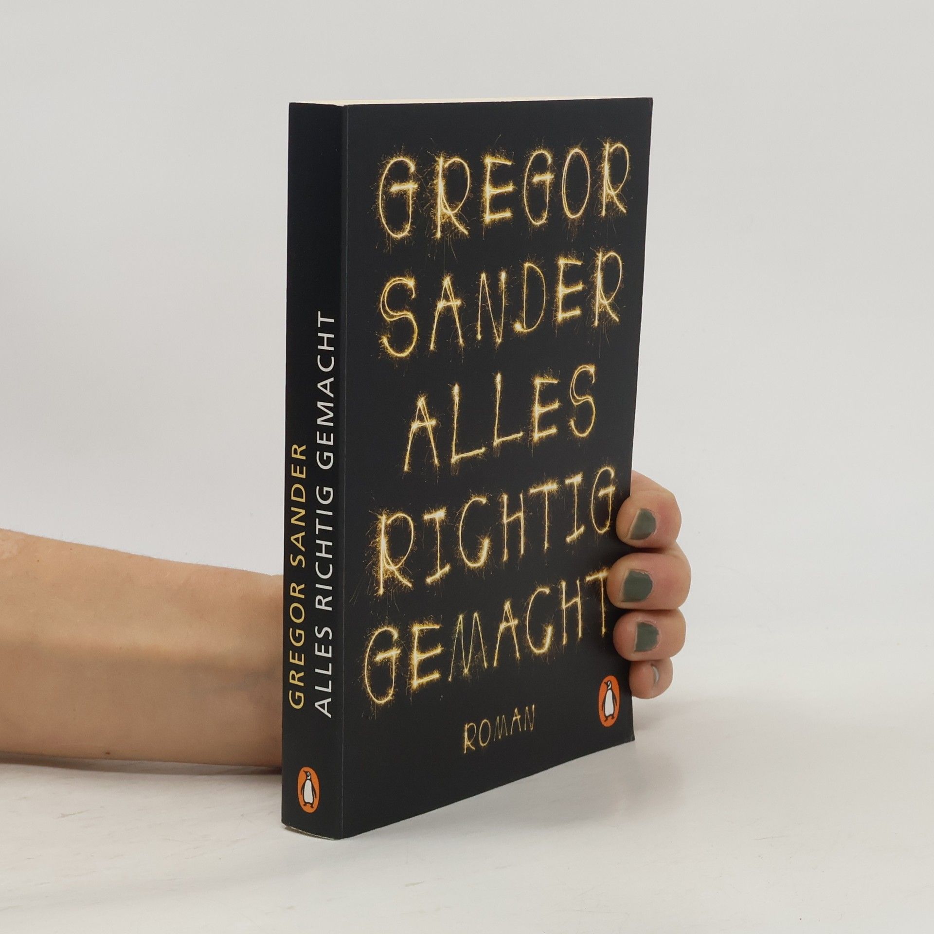 Gregor Sander Alles richtig gemacht