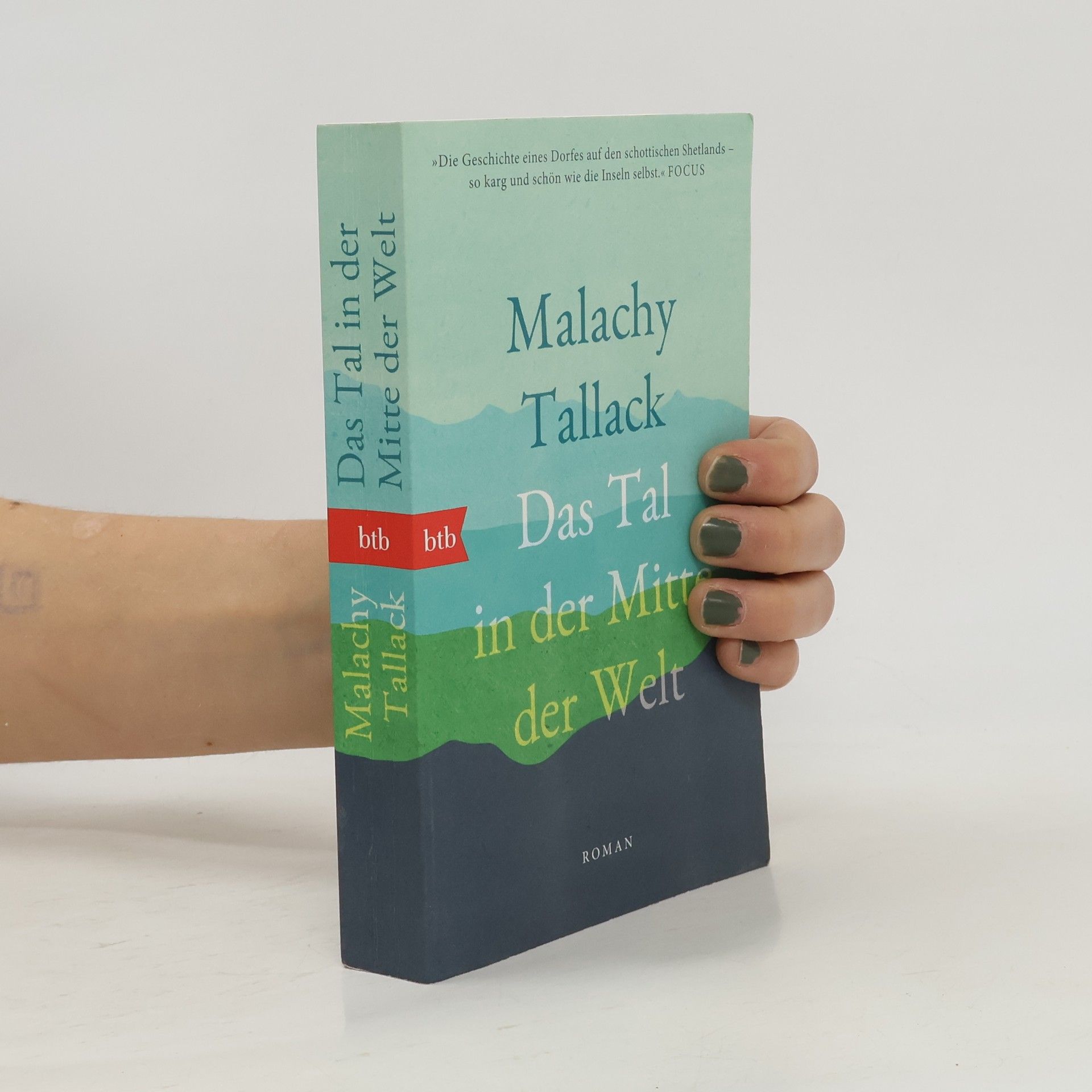 Malachy Tallack Das Tal in der Mitte der Welt