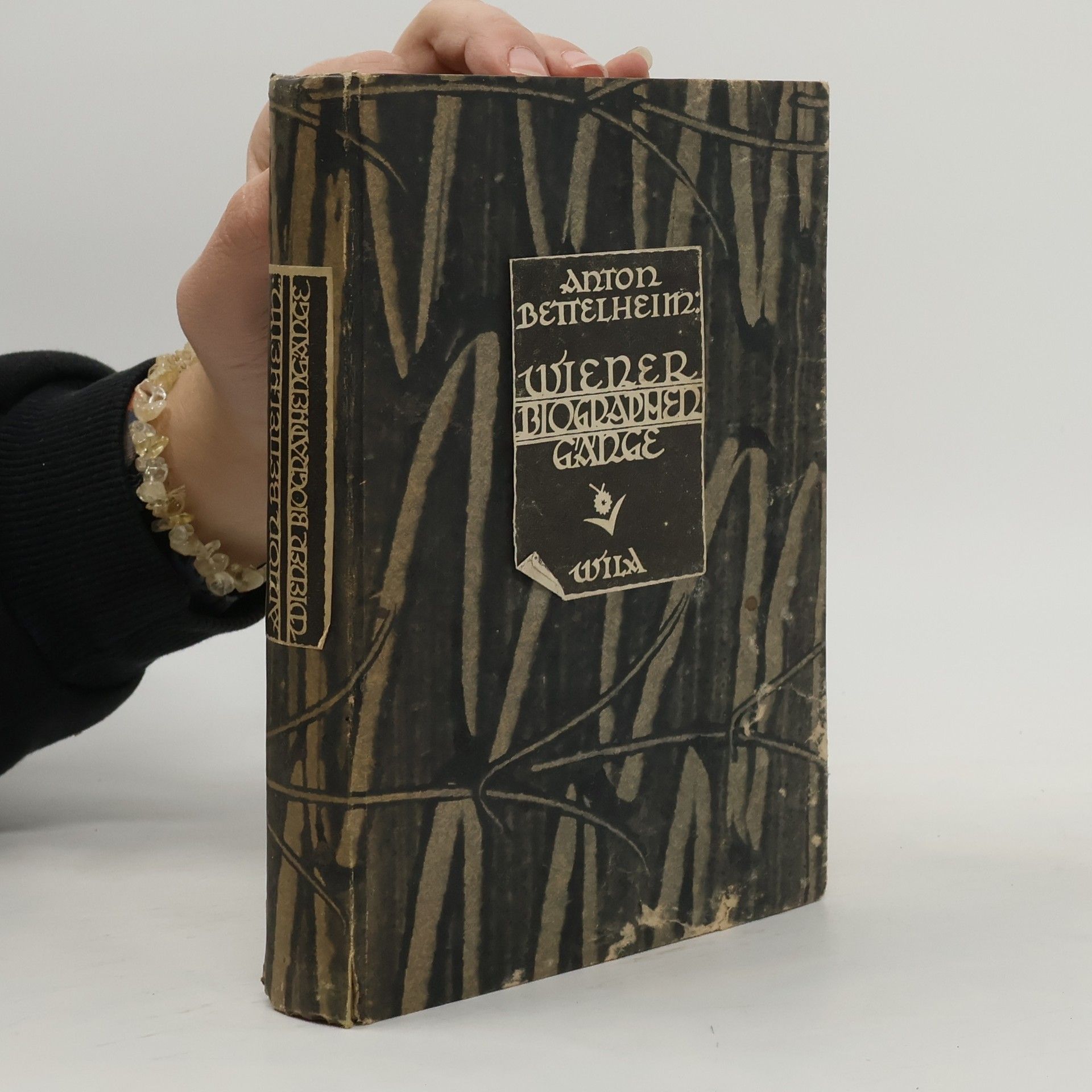 Wiener Biographengänge