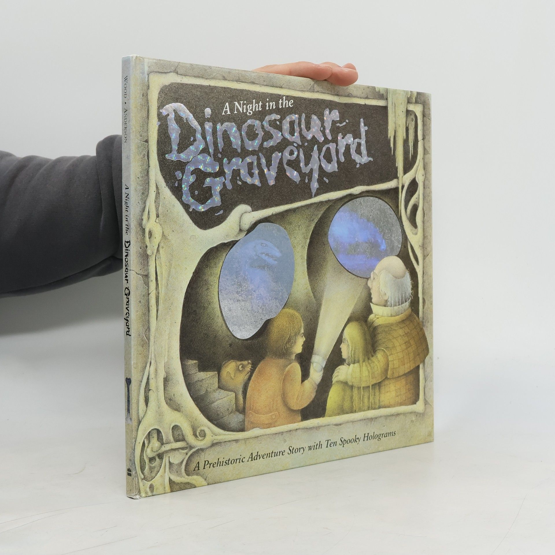 A. J. Wood A Night in the Dinosaur Graveyard