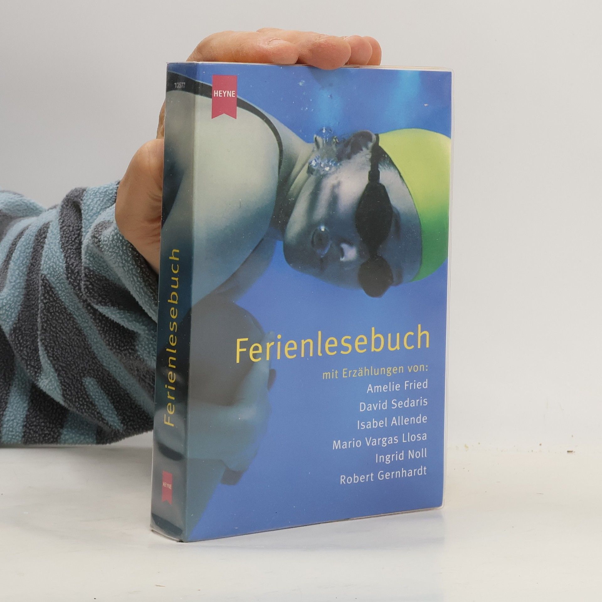 Ferienlesebuch. Geschichten für sonnige Stunden.