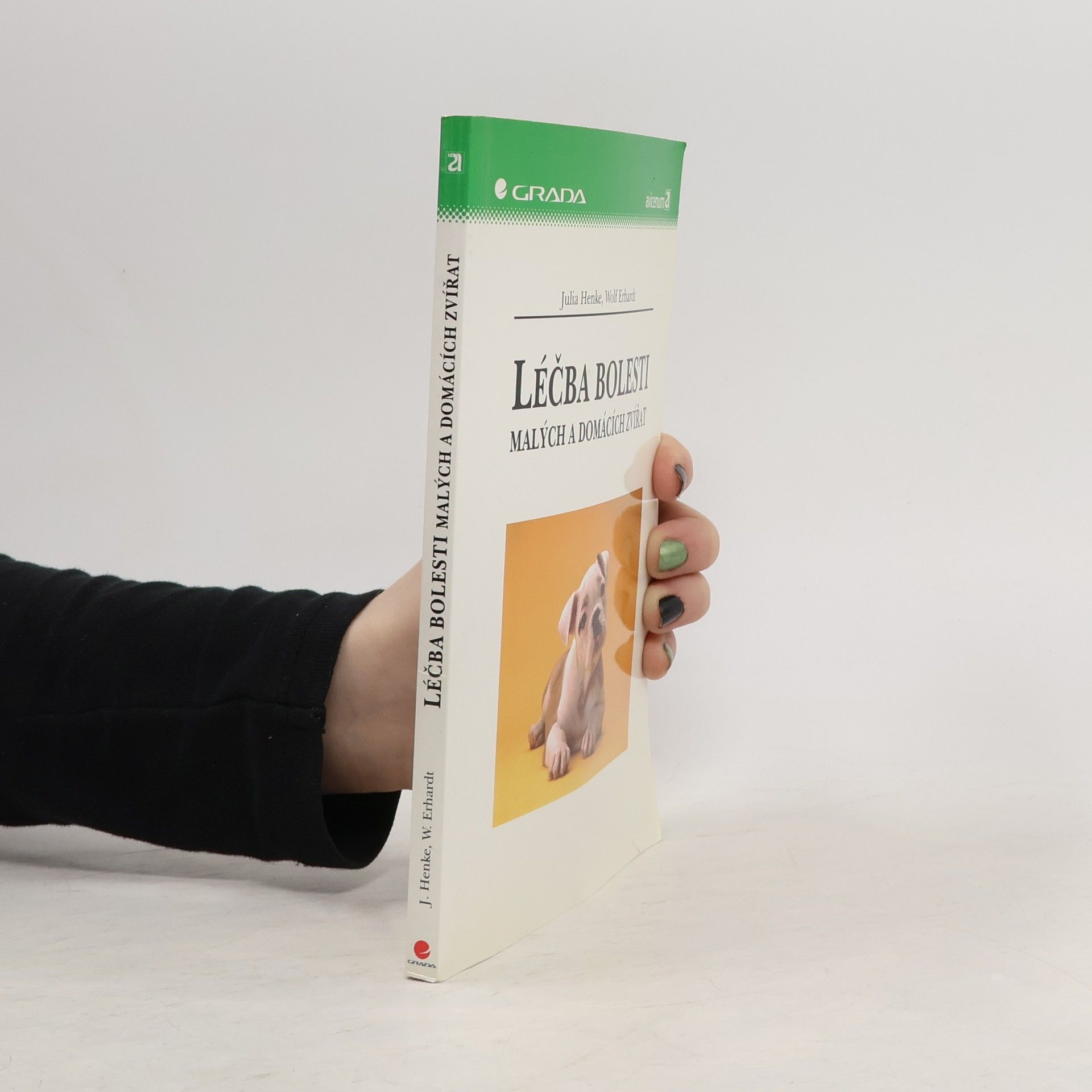 Julia Henke Léčba bolesti malých a domácích zvířat